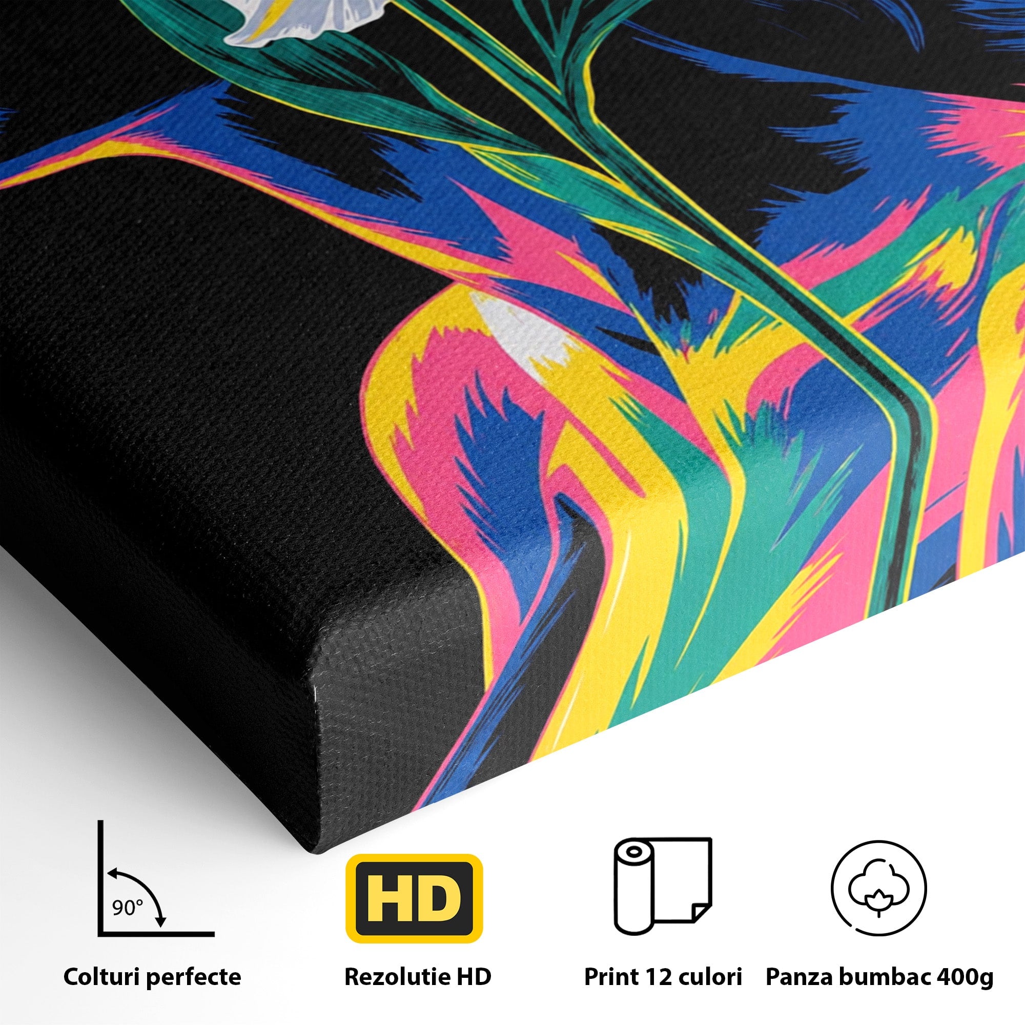 Tablou Canvas Premium LuxCanva® G1267, Femeie Cu Crin, Femeie, Crin, Portret, Arta Moderna, Living, Culori Vibrante