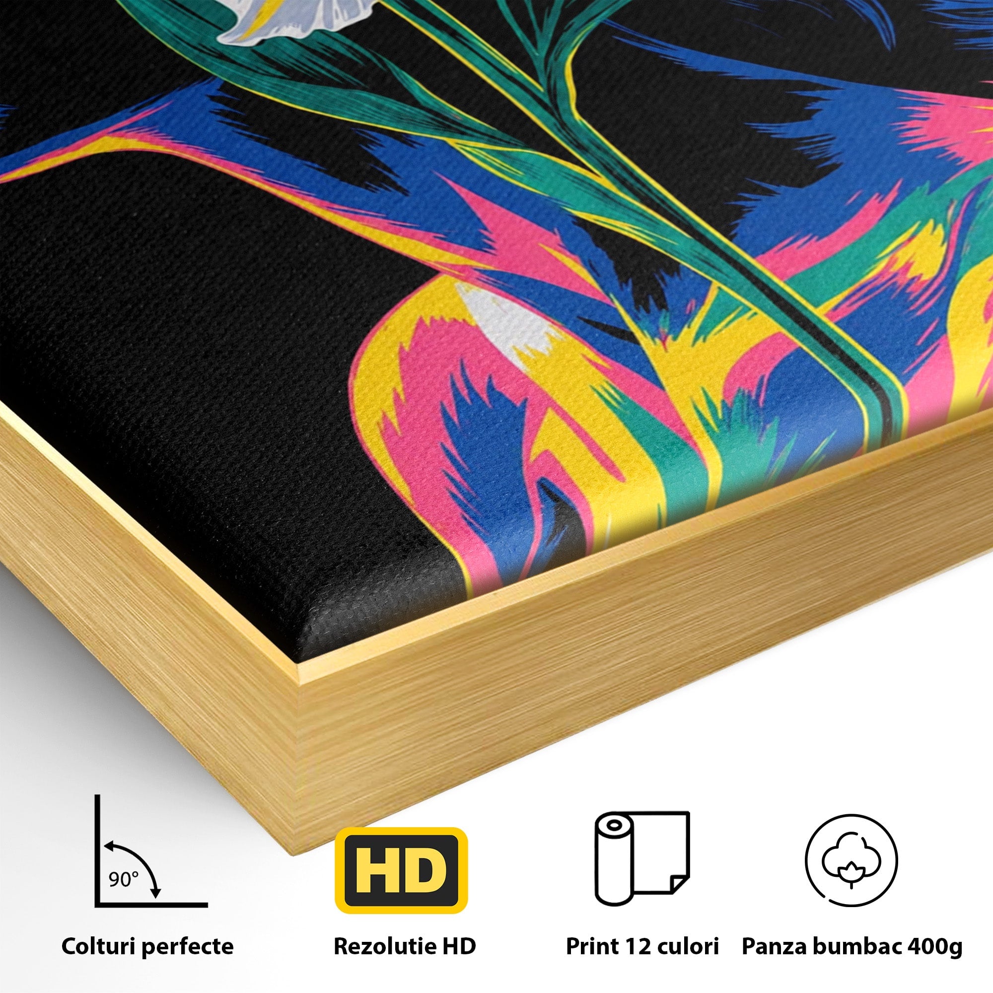 Tablou Canvas Premium LuxCanva® G1267, Femeie Cu Crin, Femeie, Crin, Portret, Arta Moderna, Living, Culori Vibrante