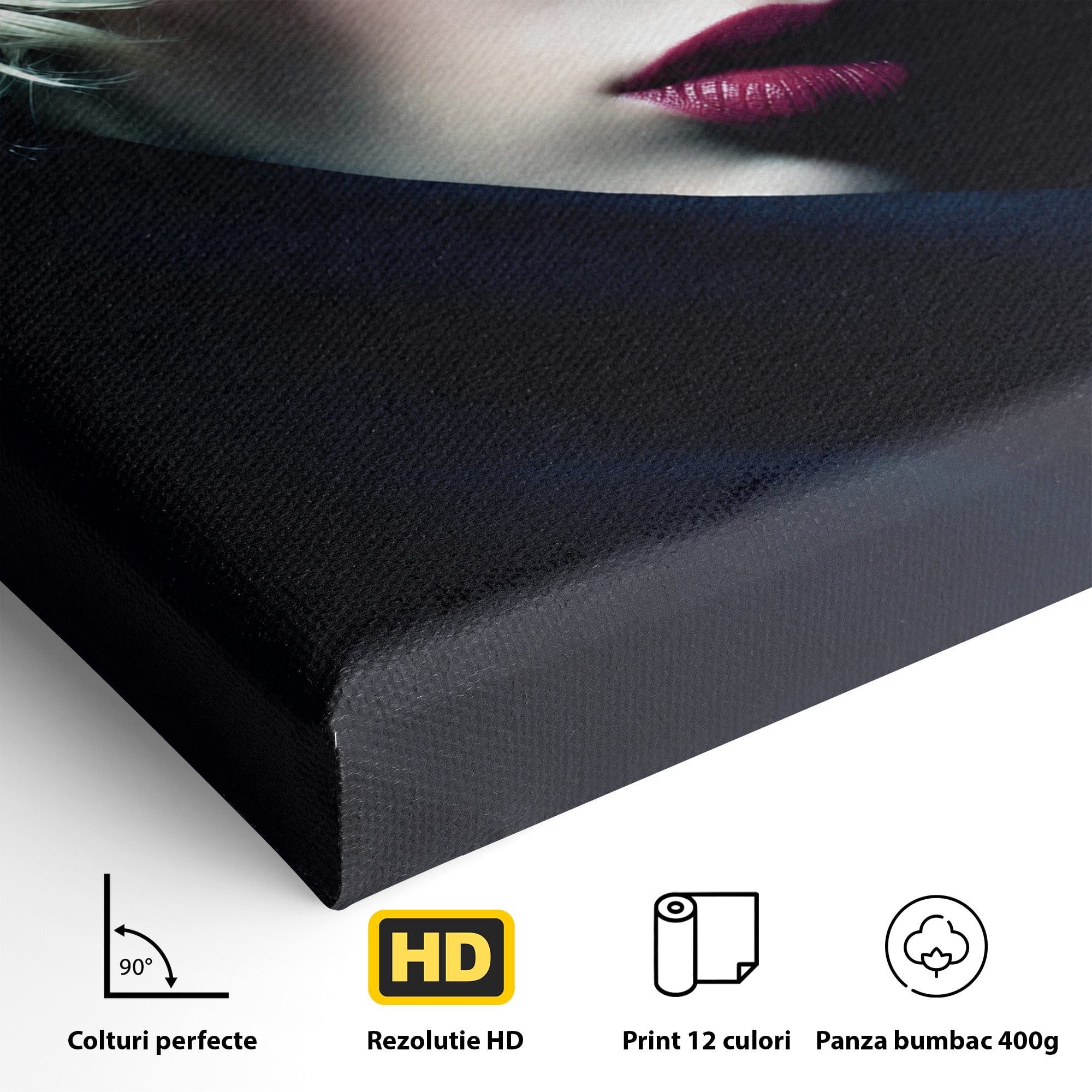 Tablou Canvas Premium LuxCanva® G1271, Misterioasa Doamna In Palarie, Portret, Palarie, Mister, Eleganta, Dormitor, Culori Vibrante