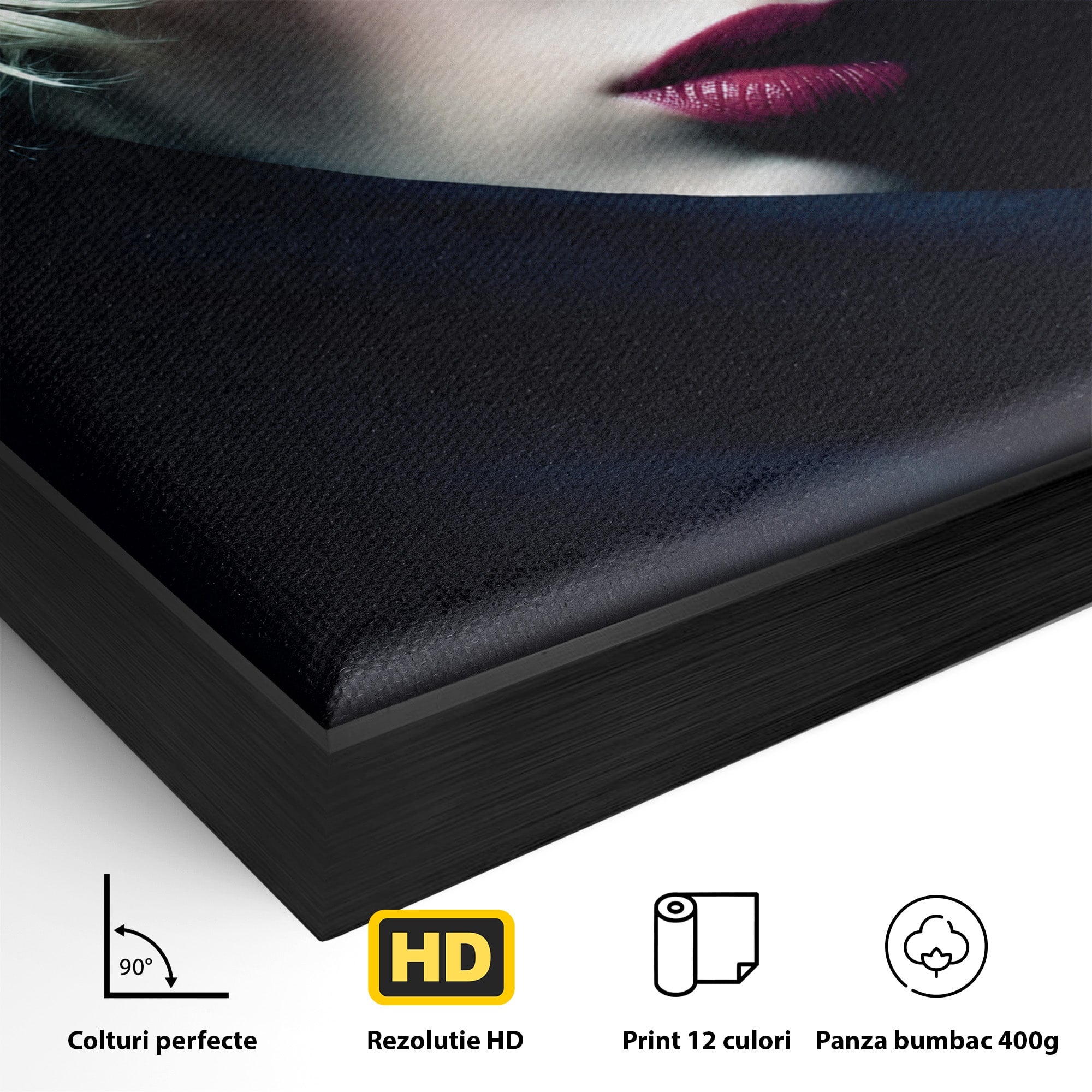 Tablou Canvas Premium LuxCanva® G1271, Misterioasa Doamna In Palarie, Portret, Palarie, Mister, Eleganta, Dormitor, Culori Vibrante