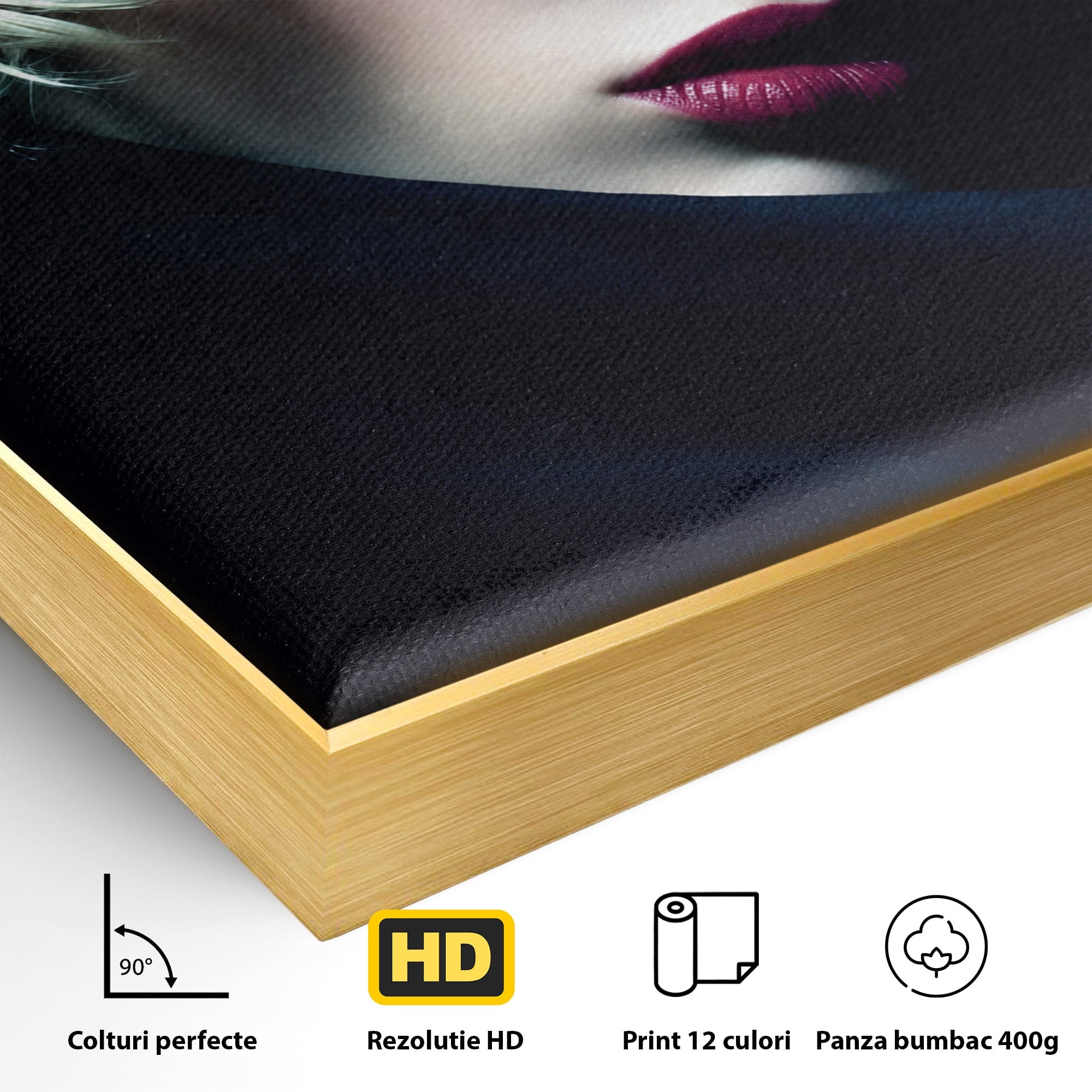 Tablou Canvas Premium LuxCanva® G1271, Misterioasa Doamna In Palarie, Portret, Palarie, Mister, Eleganta, Dormitor, Culori Vibrante