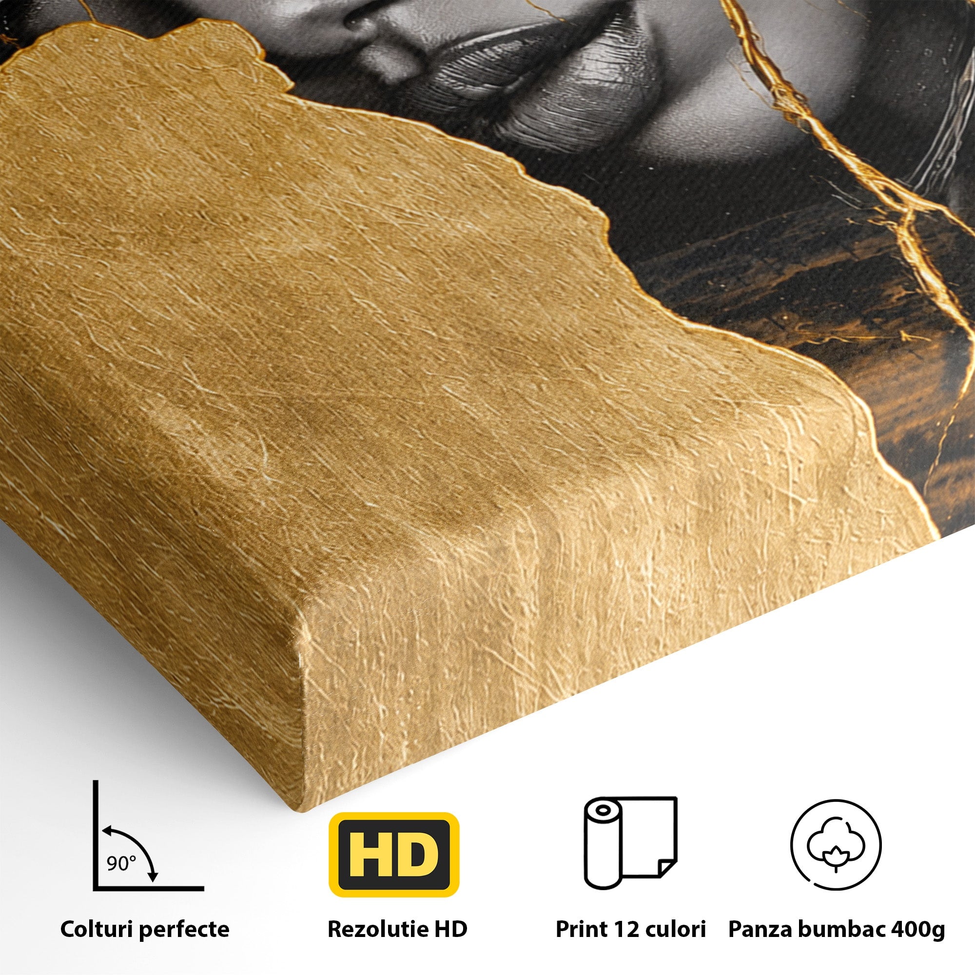 Tablou Canvas Premium LuxCanva® G1275, Silhouette Africa, Africa, Portret, Harta, Eleganta, Dormitor, Culori Vibrante