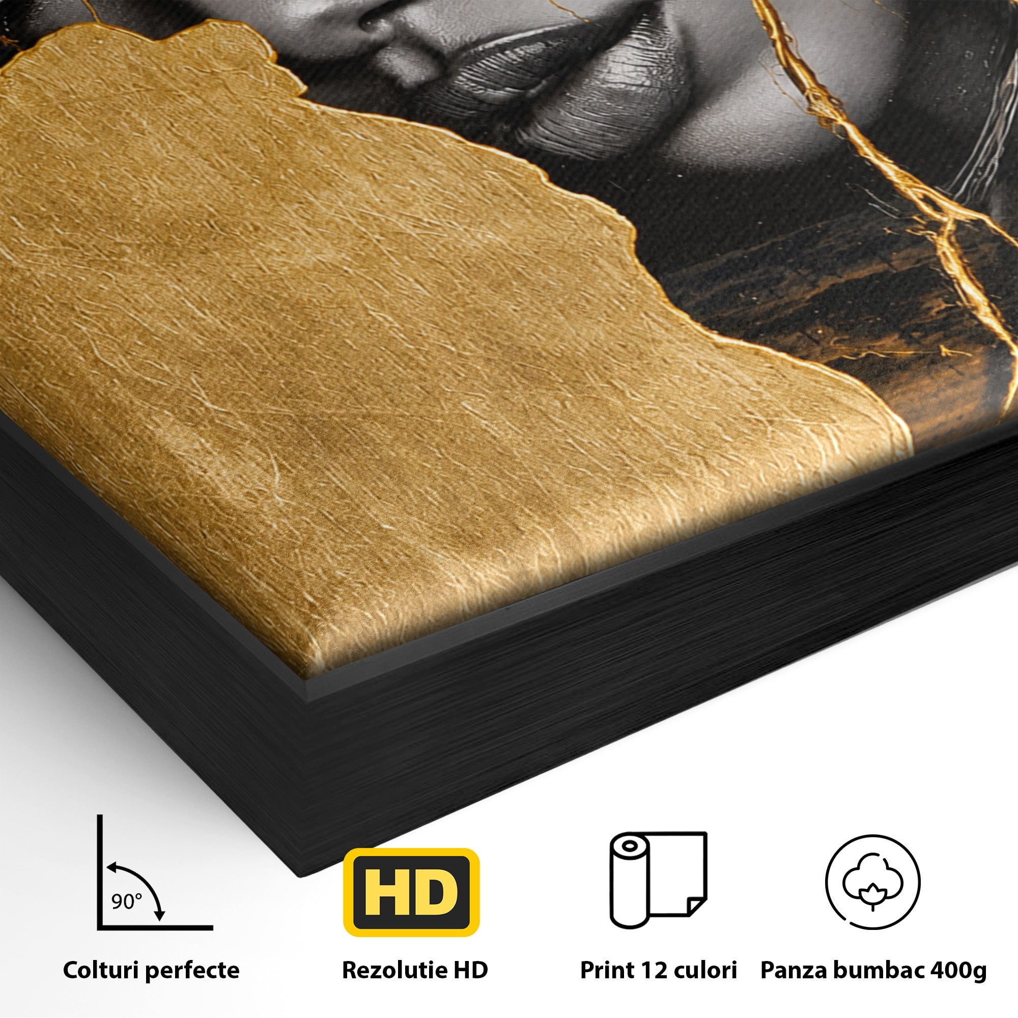 Tablou Canvas Premium LuxCanva® G1275, Silhouette Africa, Africa, Portret, Harta, Eleganta, Dormitor, Culori Vibrante