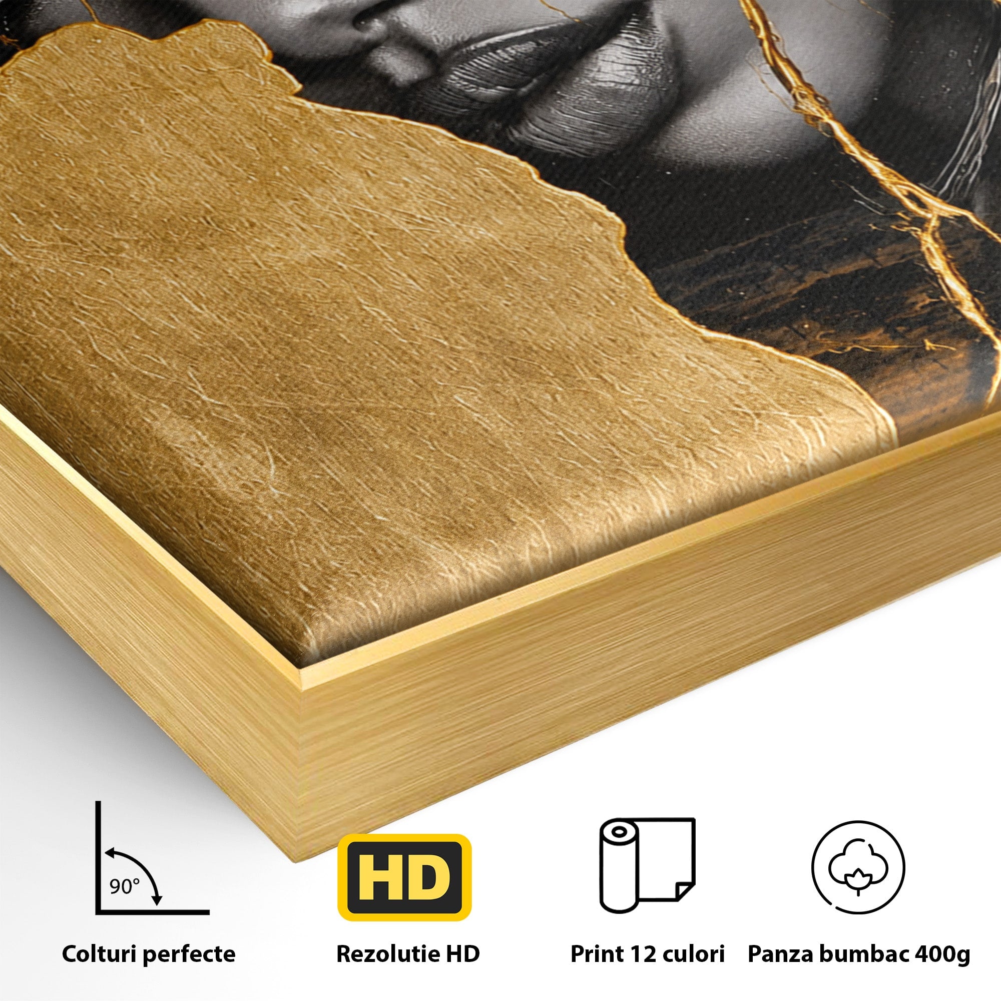 Tablou Canvas Premium LuxCanva® G1275, Silhouette Africa, Africa, Portret, Harta, Eleganta, Dormitor, Culori Vibrante
