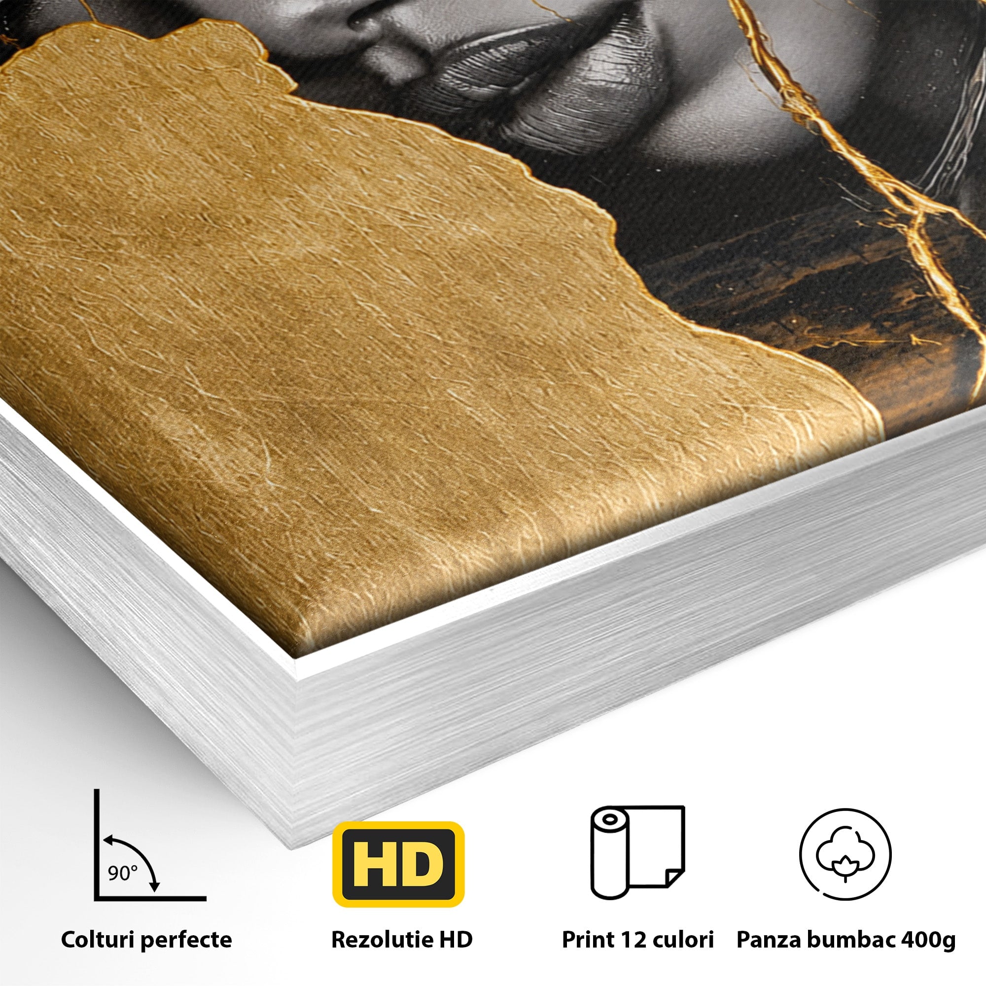 Tablou Canvas Premium LuxCanva® G1275, Silhouette Africa, Africa, Portret, Harta, Eleganta, Dormitor, Culori Vibrante