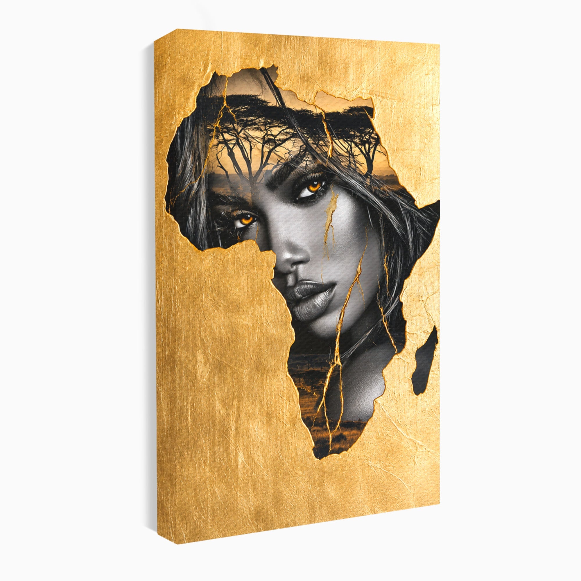 Tablou Canvas Premium LuxCanva® G1275, Silhouette Africa, Africa, Portret, Harta, Eleganta, Dormitor, Culori Vibrante