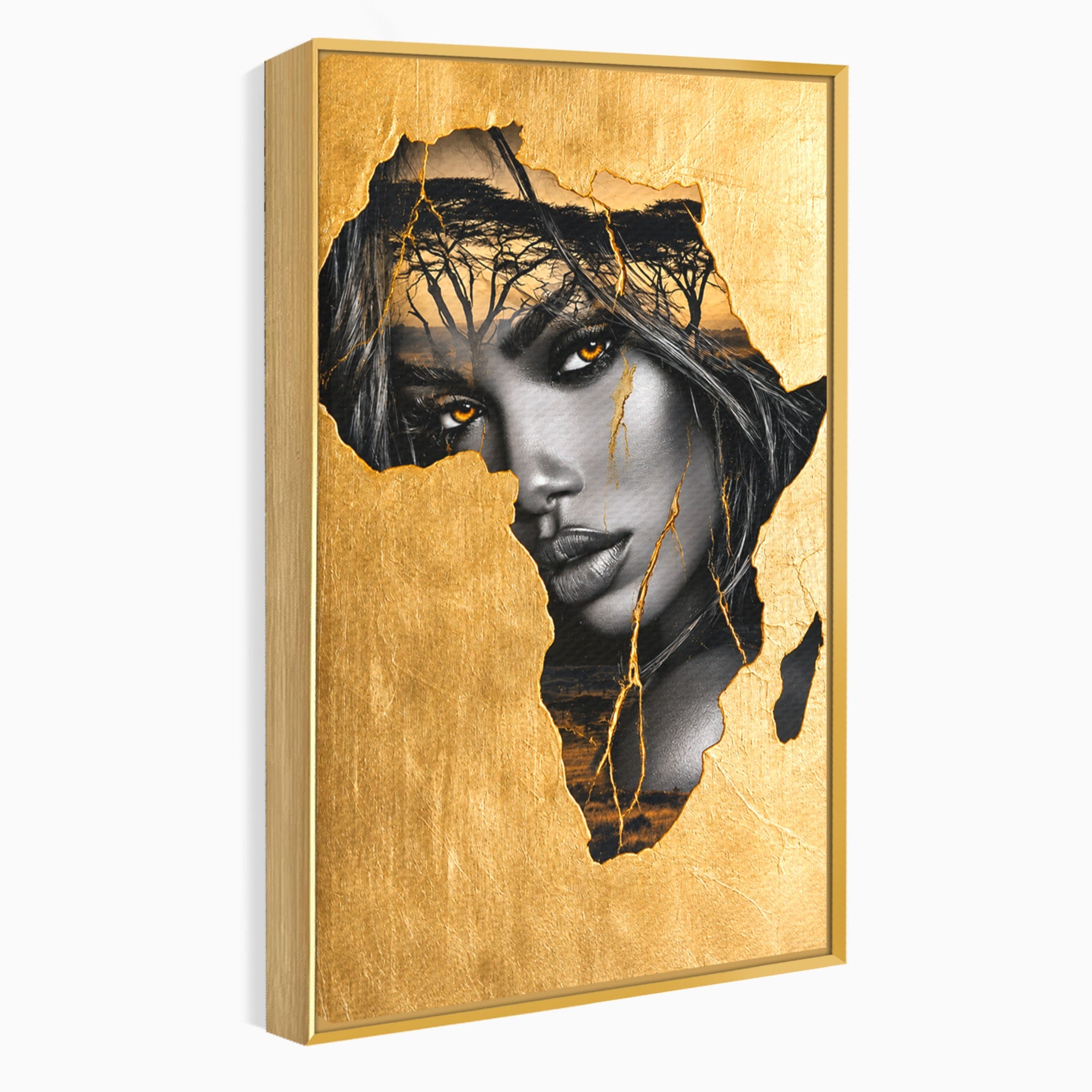 Tablou Canvas Premium LuxCanva® G1275, Silhouette Africa, Africa, Portret, Harta, Eleganta, Dormitor, Culori Vibrante