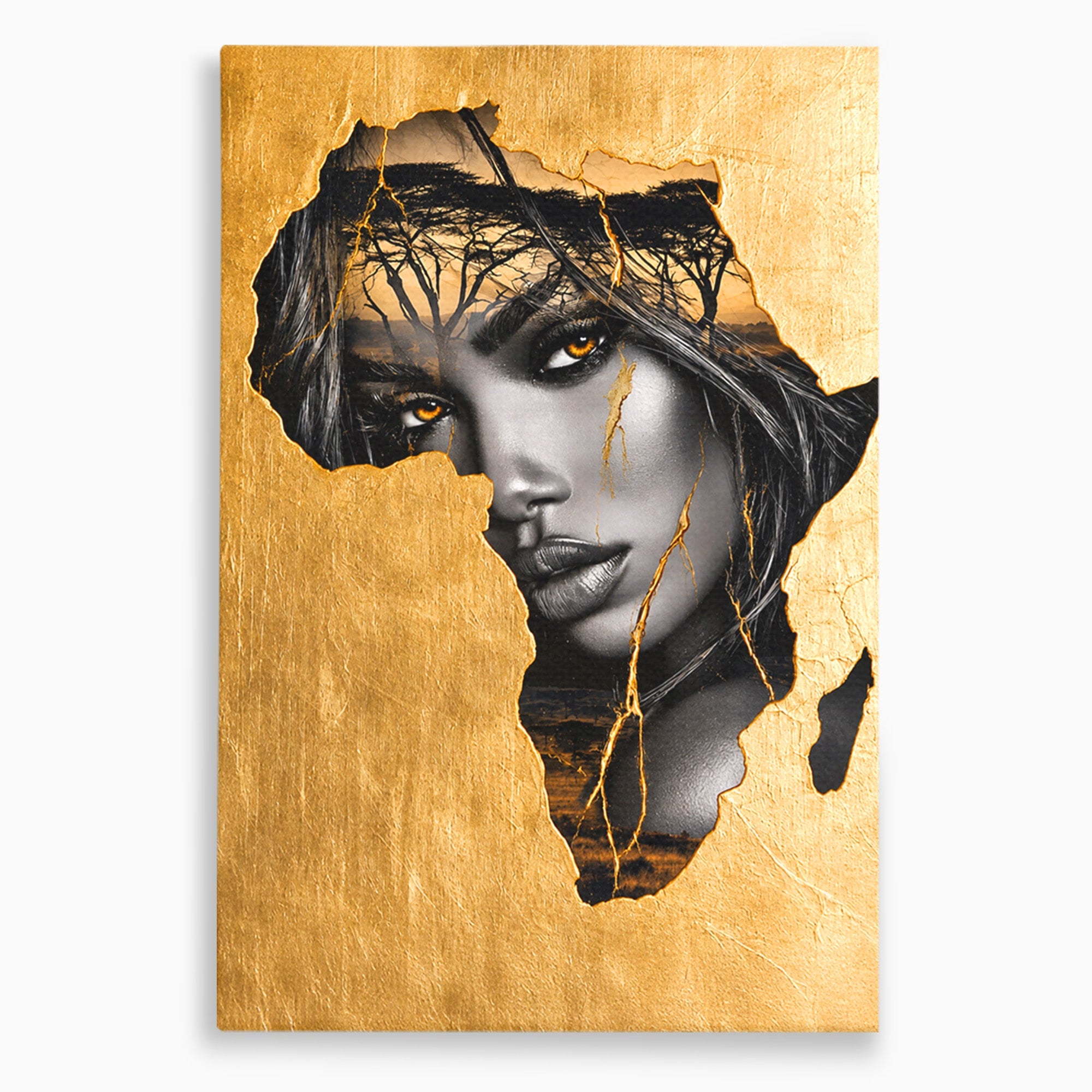 Tablou Canvas Premium LuxCanva® G1275, Silhouette Africa, Africa, Portret, Harta, Eleganta, Dormitor, Culori Vibrante