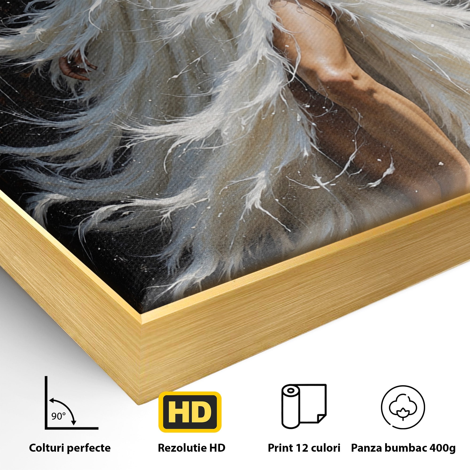 Tablou Canvas Premium LuxCanva® G1276, Regina Penelor, Regina, Pene, Eleganta, Fantezie, Dormitor, Culori Vibrante
