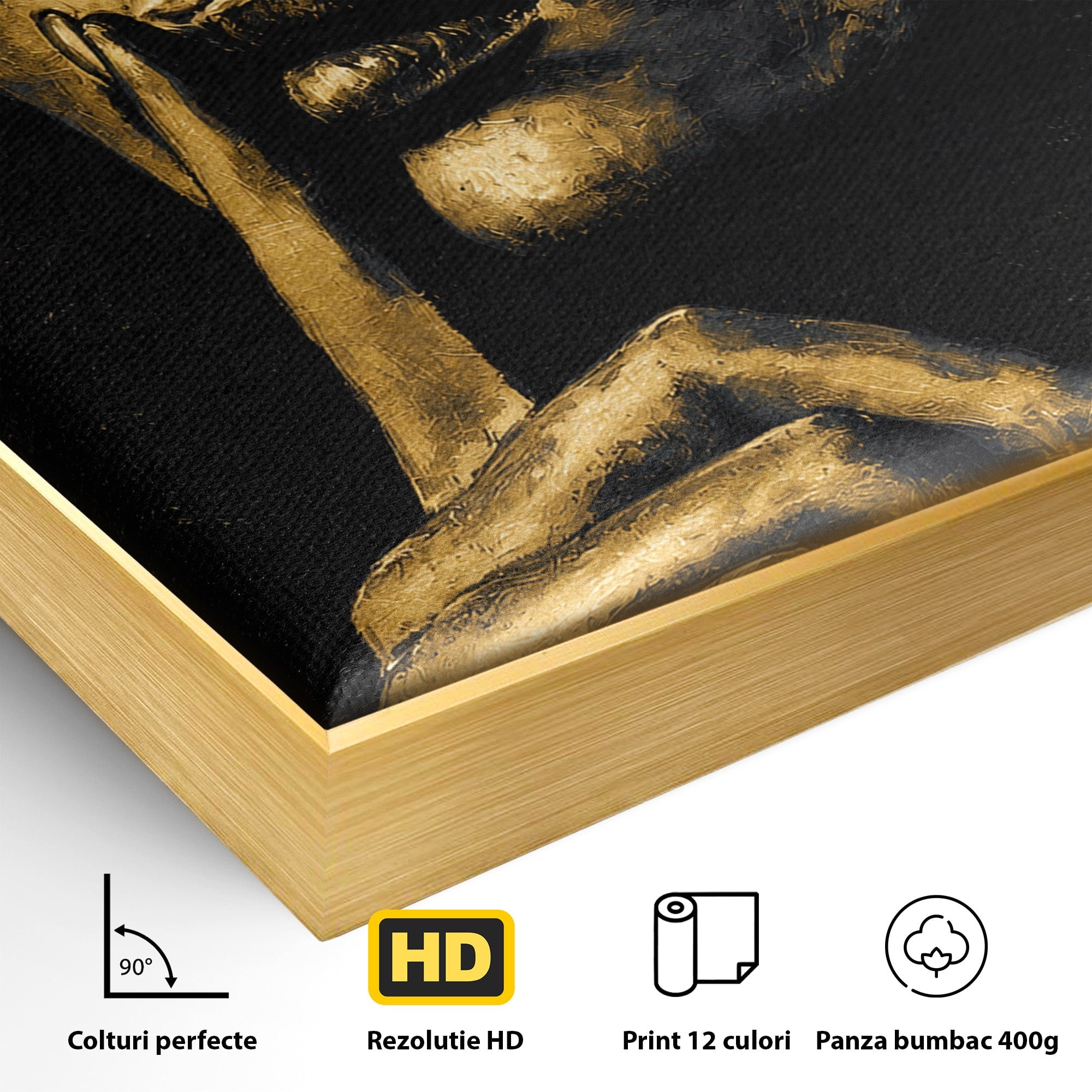 Tablou Canvas Premium LuxCanva® G1282, Tacere Aurie, Portret, Femeie, Mister, Elegant, Dormitor, Birou, Culori Vibrante