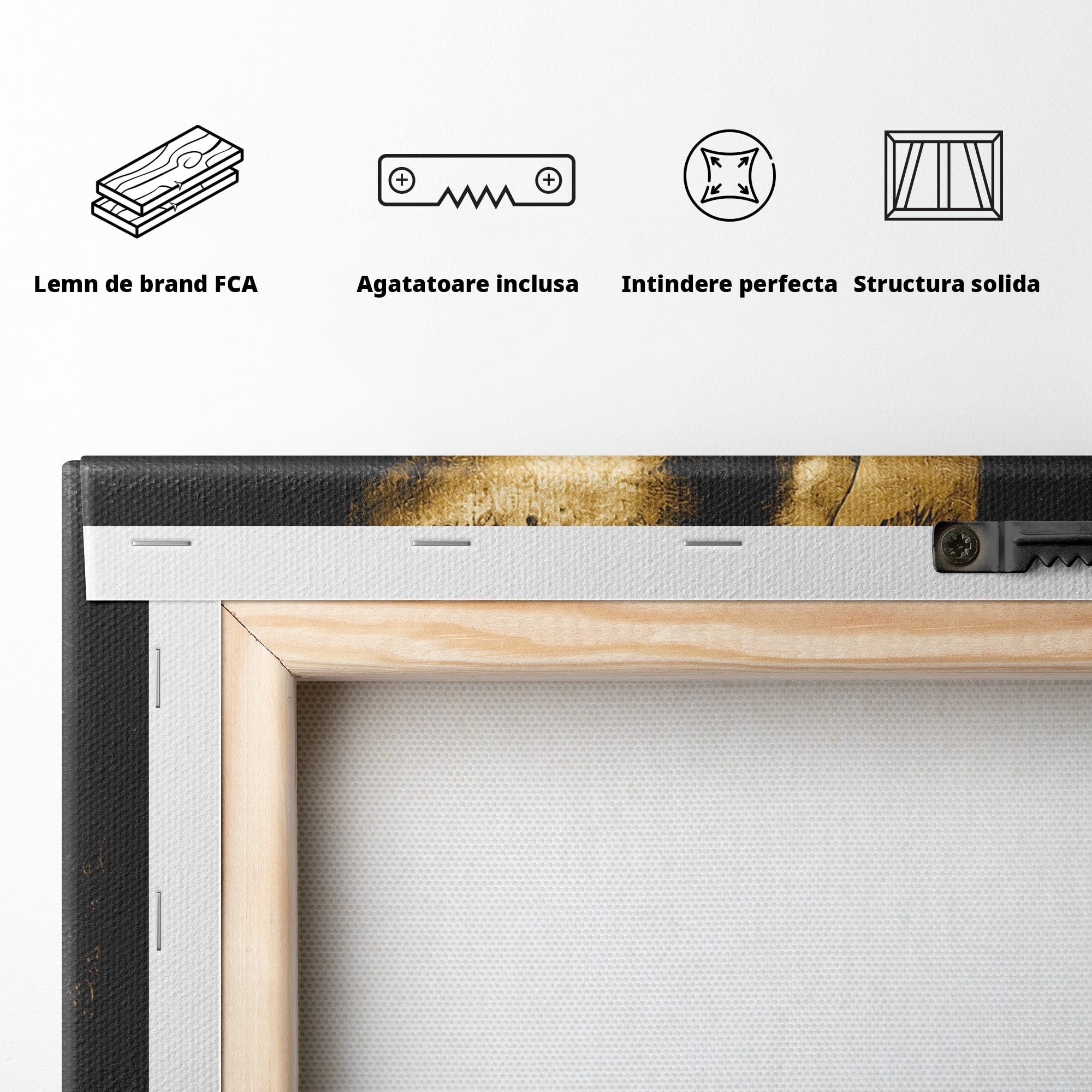 Tablou Canvas Premium LuxCanva® G1282, Tacere Aurie, Portret, Femeie, Mister, Elegant, Dormitor, Birou, Culori Vibrante