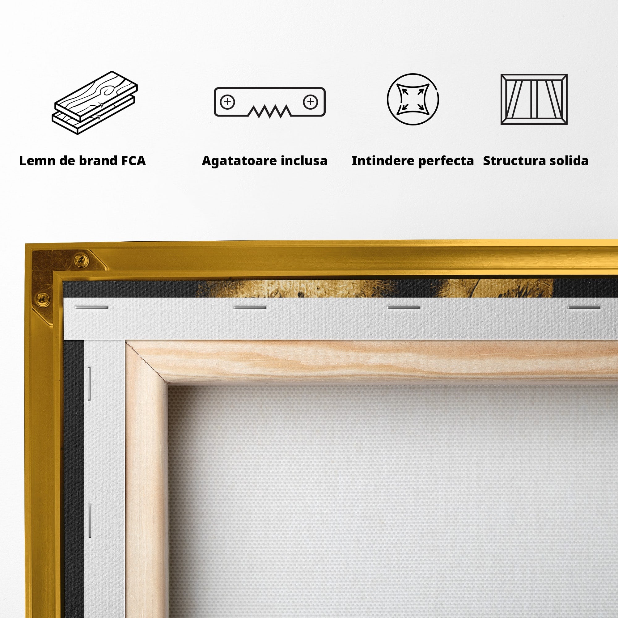 Tablou Canvas Premium LuxCanva® G1282, Tacere Aurie, Portret, Femeie, Mister, Elegant, Dormitor, Birou, Culori Vibrante