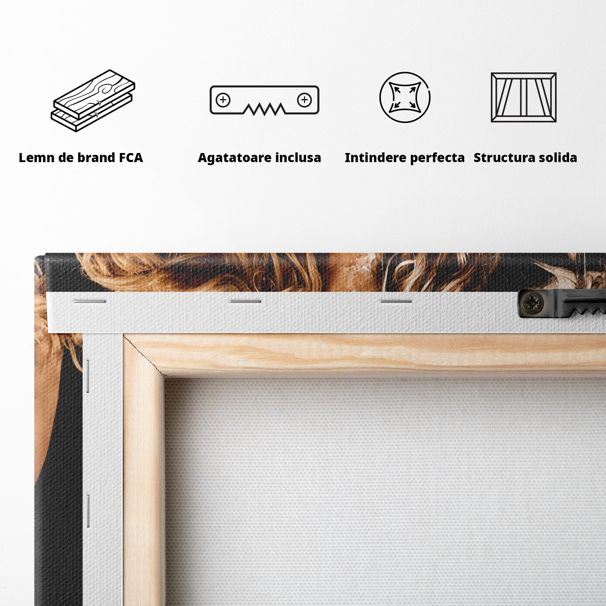Tablou Canvas Premium LuxCanva® G1283, Femeie In Valuri De Culoare, Femeie, Arta Abstracta, Frumusete, Emotie, Dormitor, Culori Vibrante