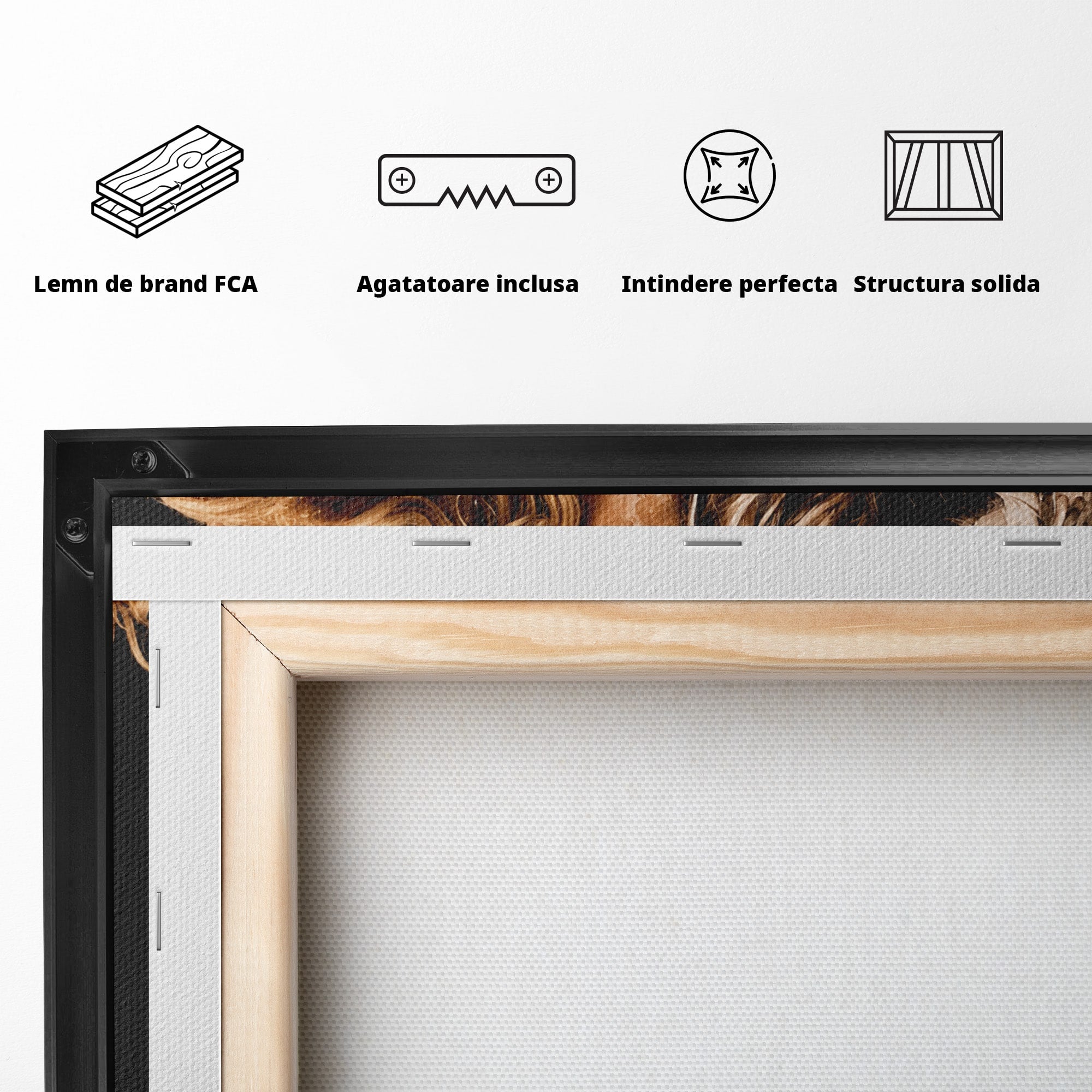 Tablou Canvas Premium LuxCanva® G1283, Femeie In Valuri De Culoare, Femeie, Arta Abstracta, Frumusete, Emotie, Dormitor, Culori Vibrante
