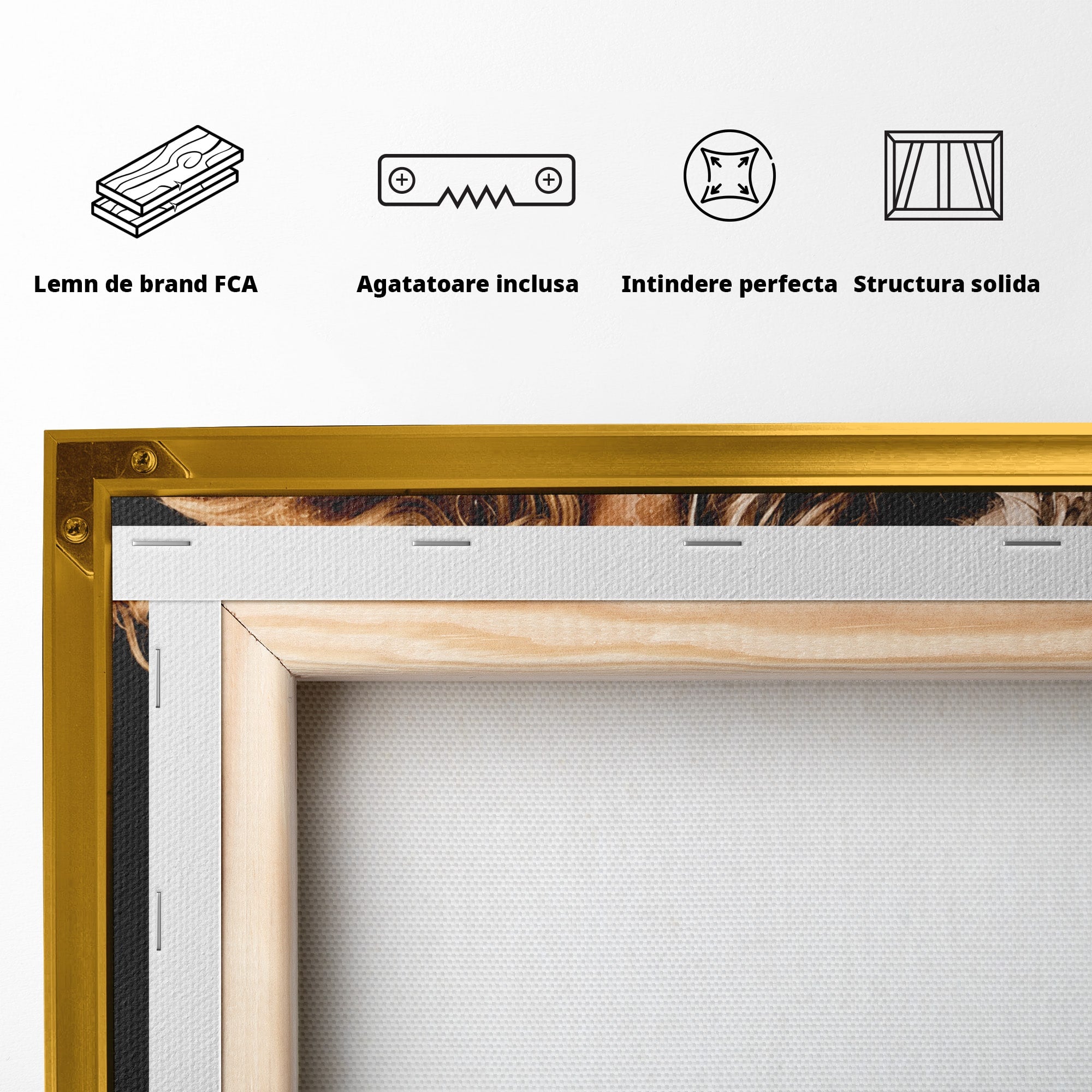Tablou Canvas Premium LuxCanva® G1283, Femeie In Valuri De Culoare, Femeie, Arta Abstracta, Frumusete, Emotie, Dormitor, Culori Vibrante