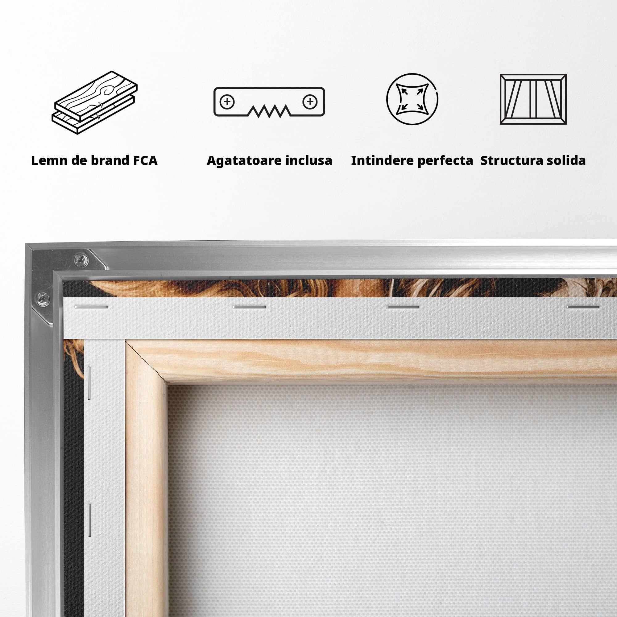 Tablou Canvas Premium LuxCanva® G1283, Femeie In Valuri De Culoare, Femeie, Arta Abstracta, Frumusete, Emotie, Dormitor, Culori Vibrante
