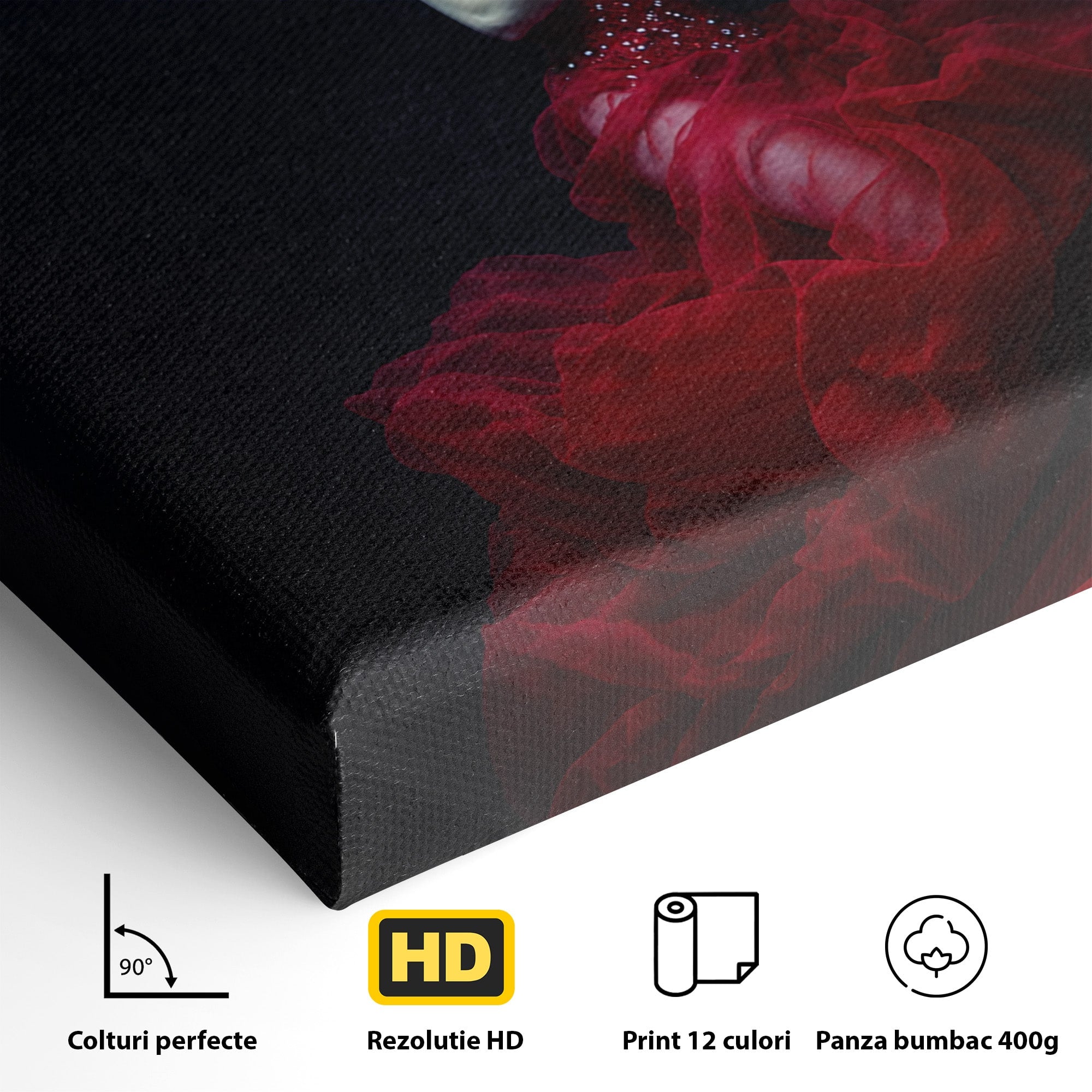 Tablou Canvas Premium LuxCanva® G1287, Sirena In Adancuri, Sirena, Apa, Fantezie, Mister, Dormitor, Culori Vibrante