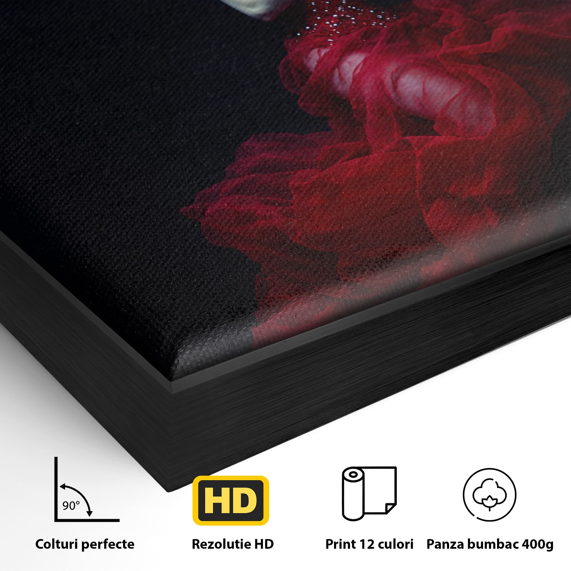 Tablou Canvas Premium LuxCanva® G1287, Sirena In Adancuri, Sirena, Apa, Fantezie, Mister, Dormitor, Culori Vibrante