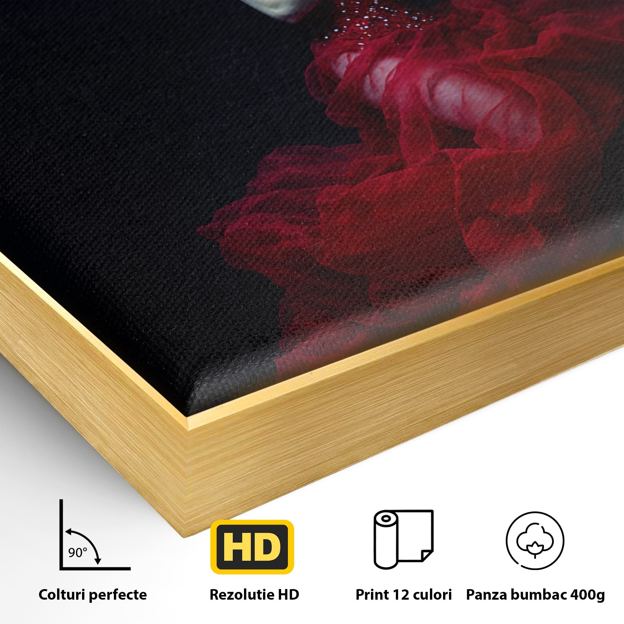 Tablou Canvas Premium LuxCanva® G1287, Sirena In Adancuri, Sirena, Apa, Fantezie, Mister, Dormitor, Culori Vibrante