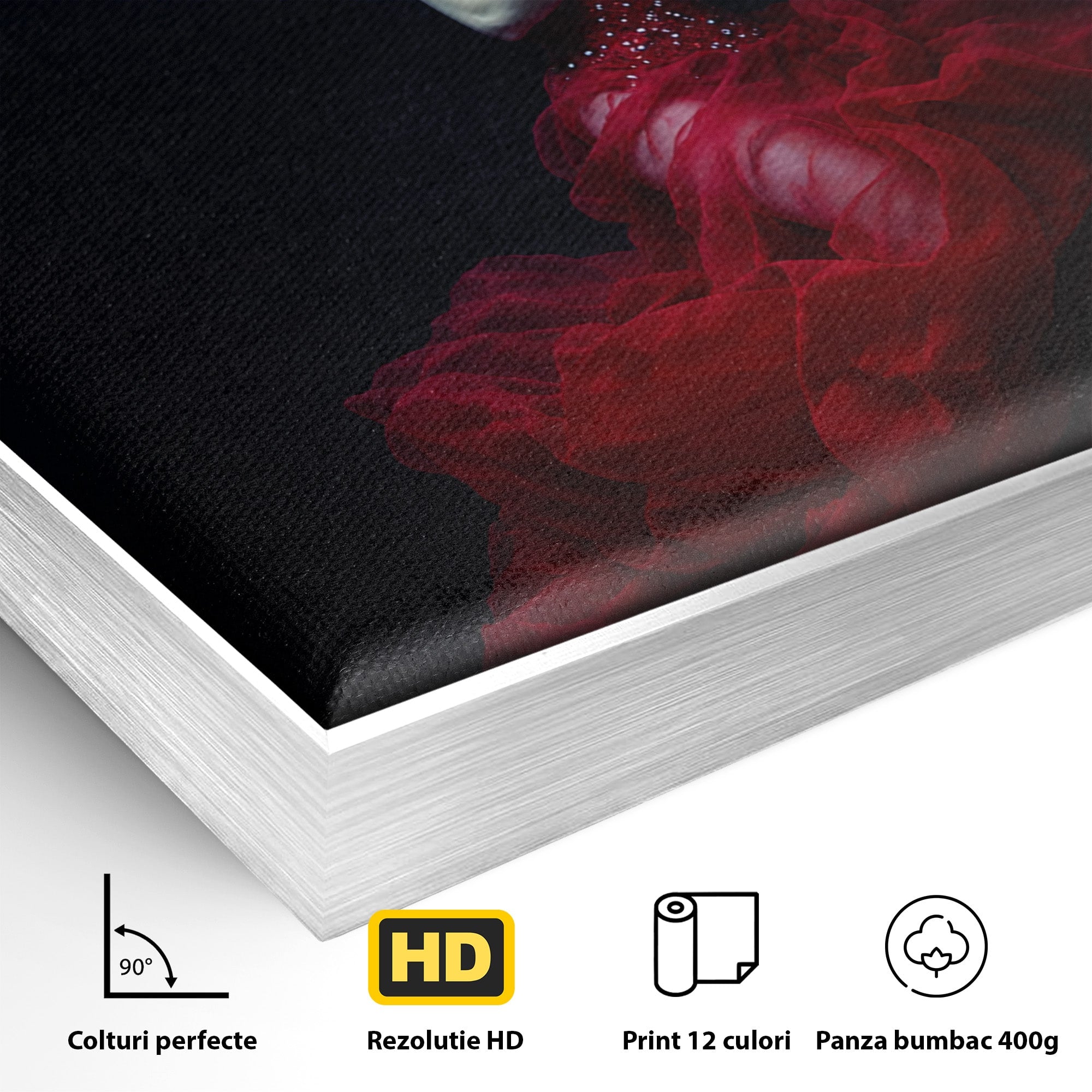 Tablou Canvas Premium LuxCanva® G1287, Sirena In Adancuri, Sirena, Apa, Fantezie, Mister, Dormitor, Culori Vibrante