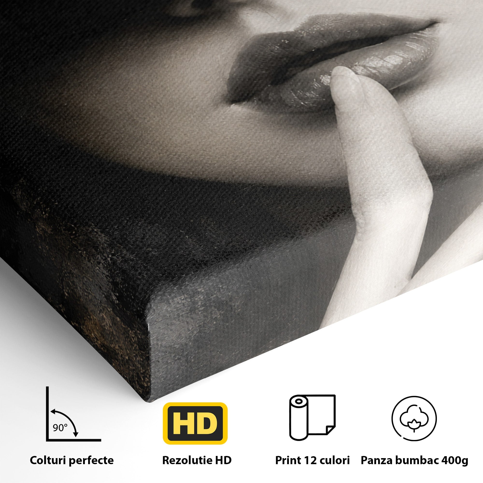 Tablou Canvas Premium LuxCanva® G1288, Misterul Femeii, Femeie, Portret, Eleganta, Mister, Birou, Dormitor, Culori Vibrante