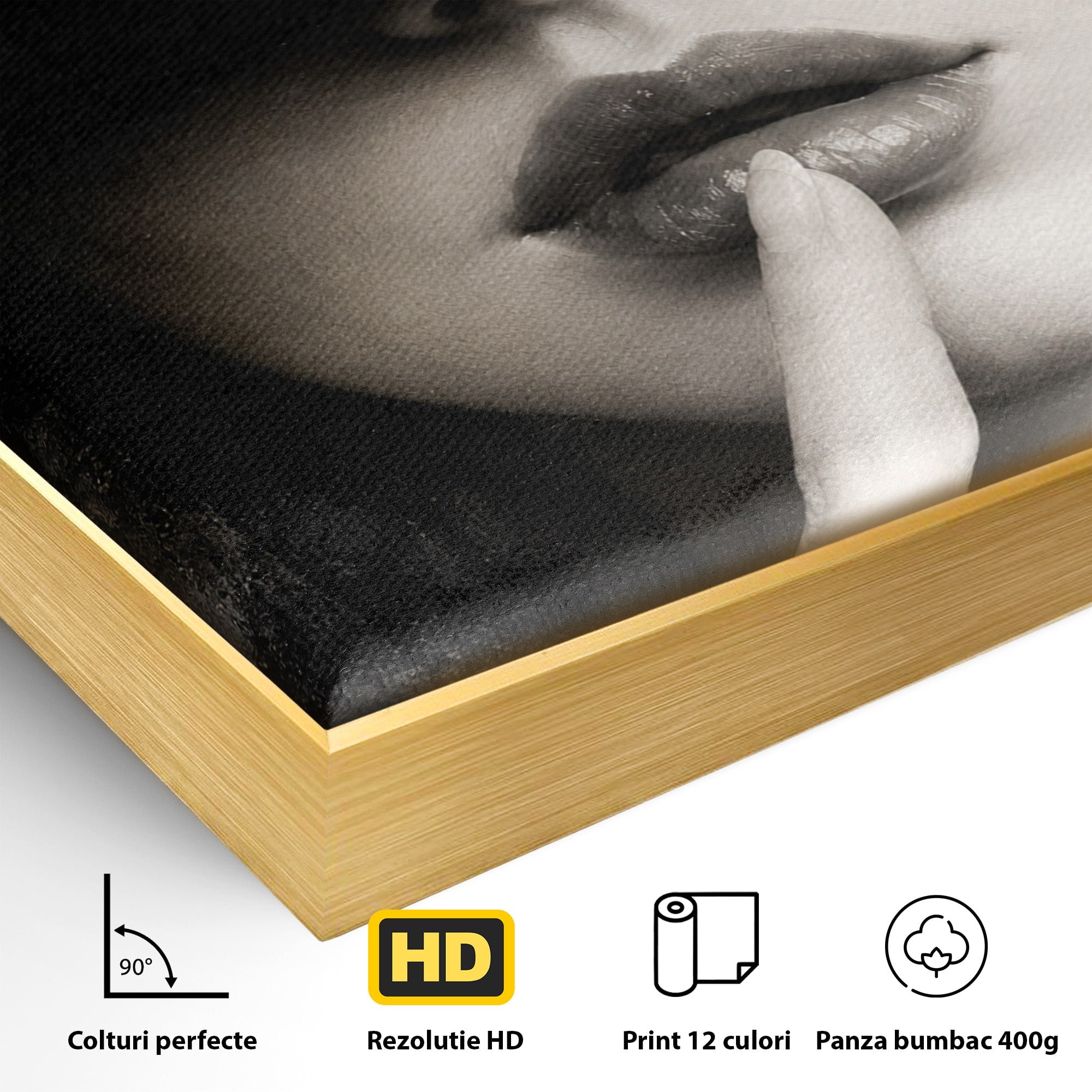 Tablou Canvas Premium LuxCanva® G1288, Misterul Femeii, Femeie, Portret, Eleganta, Mister, Birou, Dormitor, Culori Vibrante