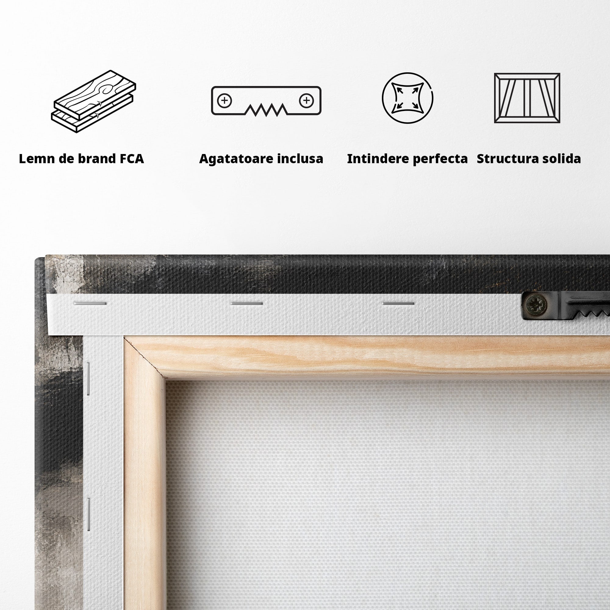 Tablou Canvas Premium LuxCanva® G1288, Misterul Femeii, Femeie, Portret, Eleganta, Mister, Birou, Dormitor, Culori Vibrante