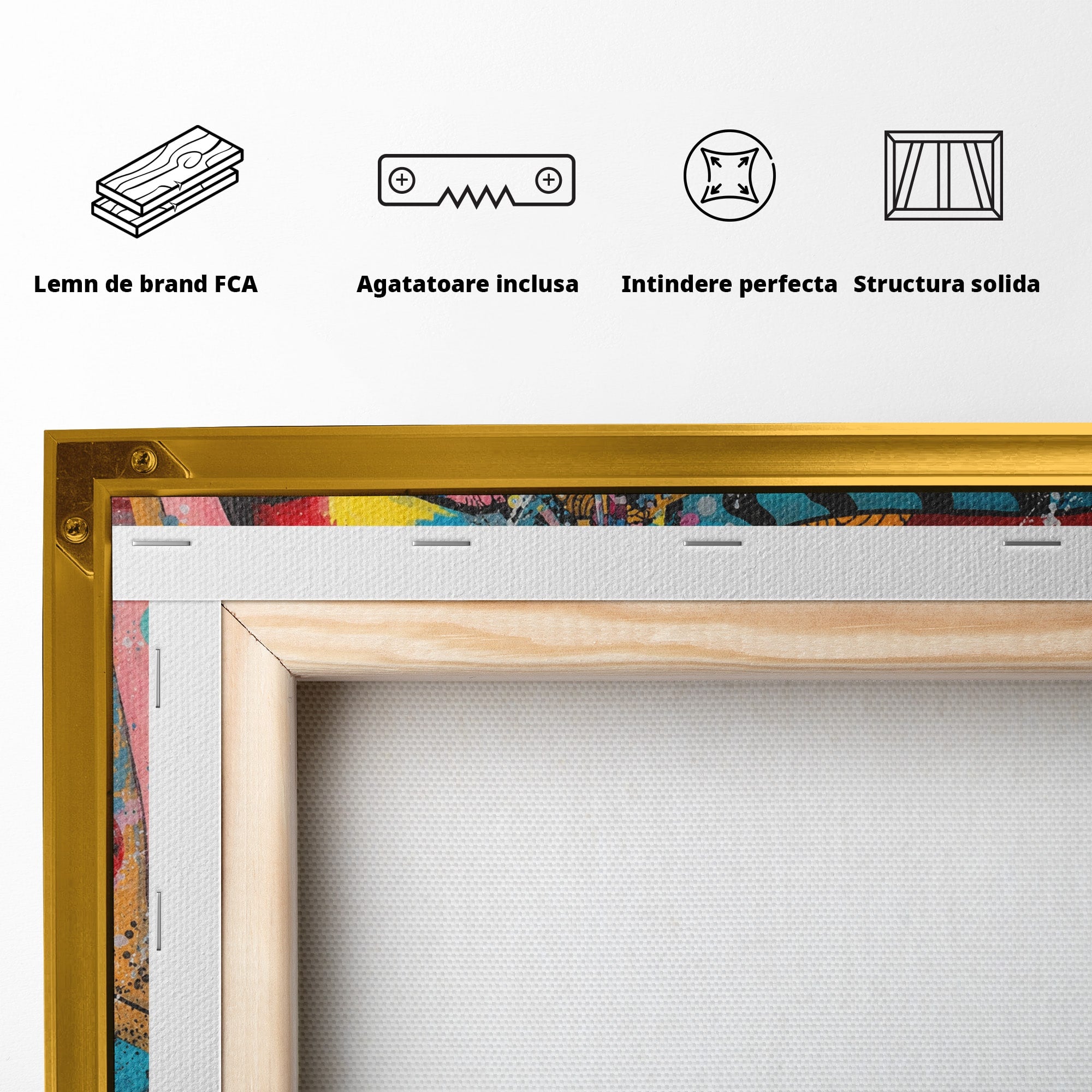 Tablou Canvas Premium LuxCanva® GL1069, Calatorie Spirituala, Portret, Femeie, Abstract, Mister, Living, Culori Vibrante