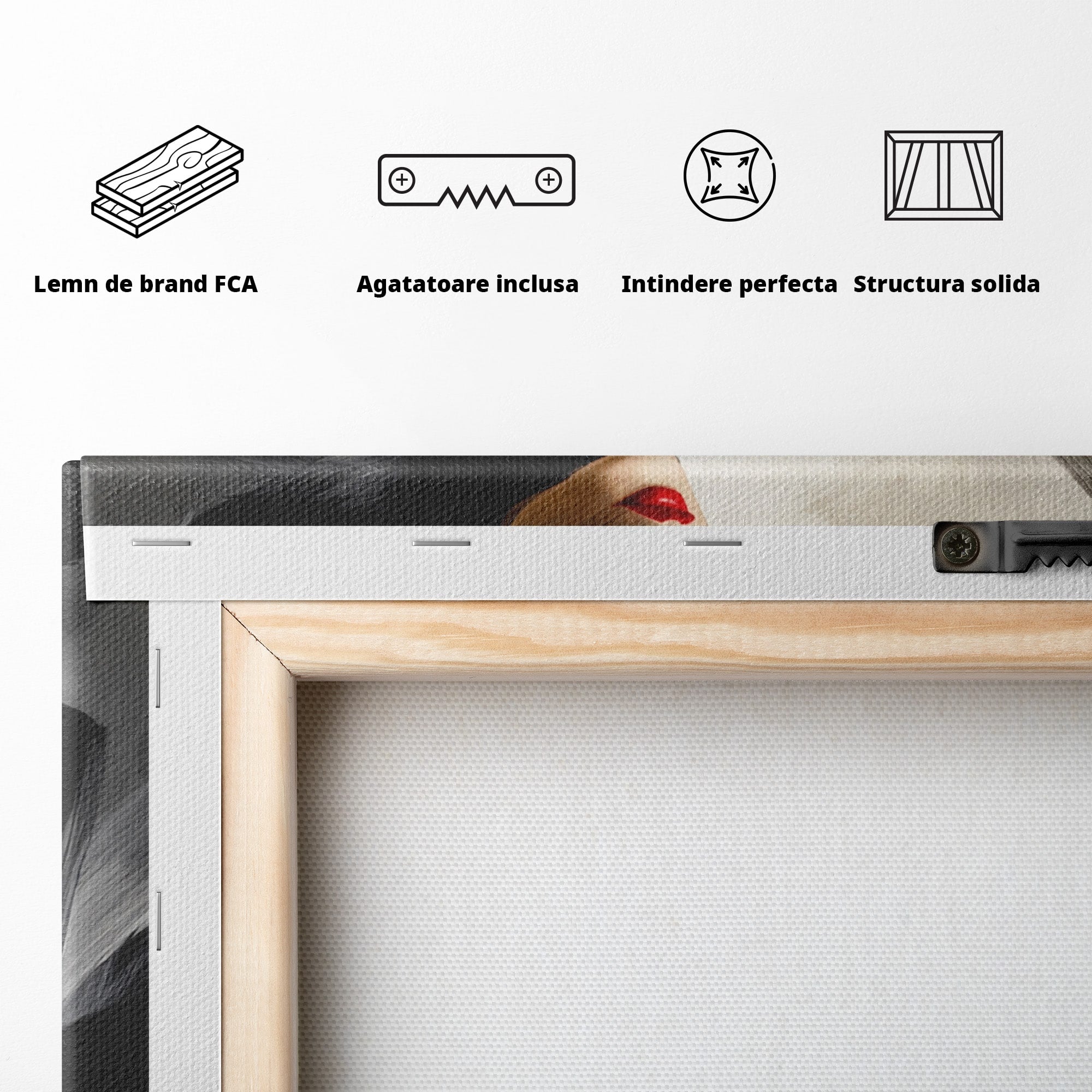 Tablou Canvas Premium LuxCanva® GV1052, Fascinatia Necunoscutului, Portret, Eleganta, Moda, Mister, Dormitor, Birou, Culori Vibrante