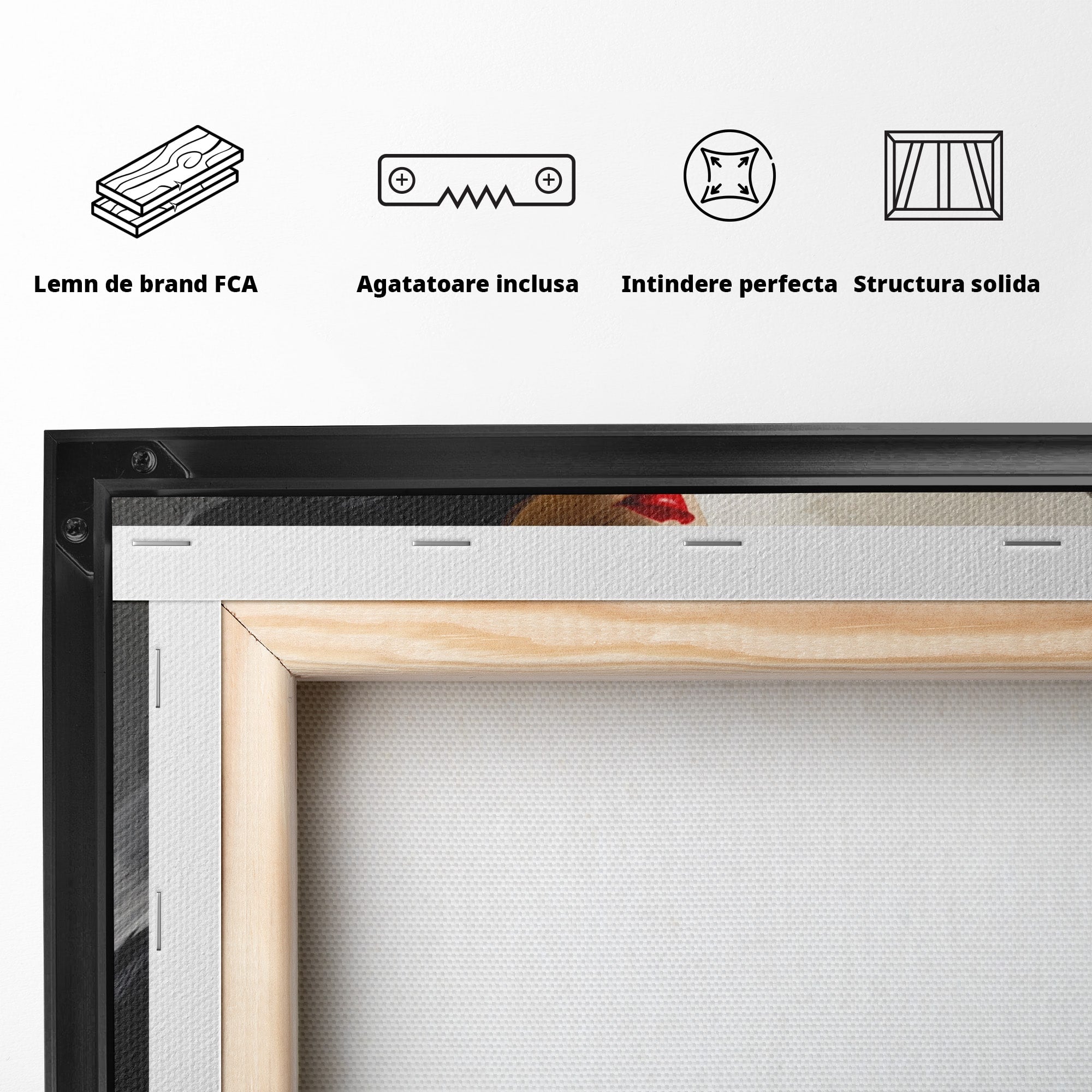 Tablou Canvas Premium LuxCanva® GV1052, Fascinatia Necunoscutului, Portret, Eleganta, Moda, Mister, Dormitor, Birou, Culori Vibrante