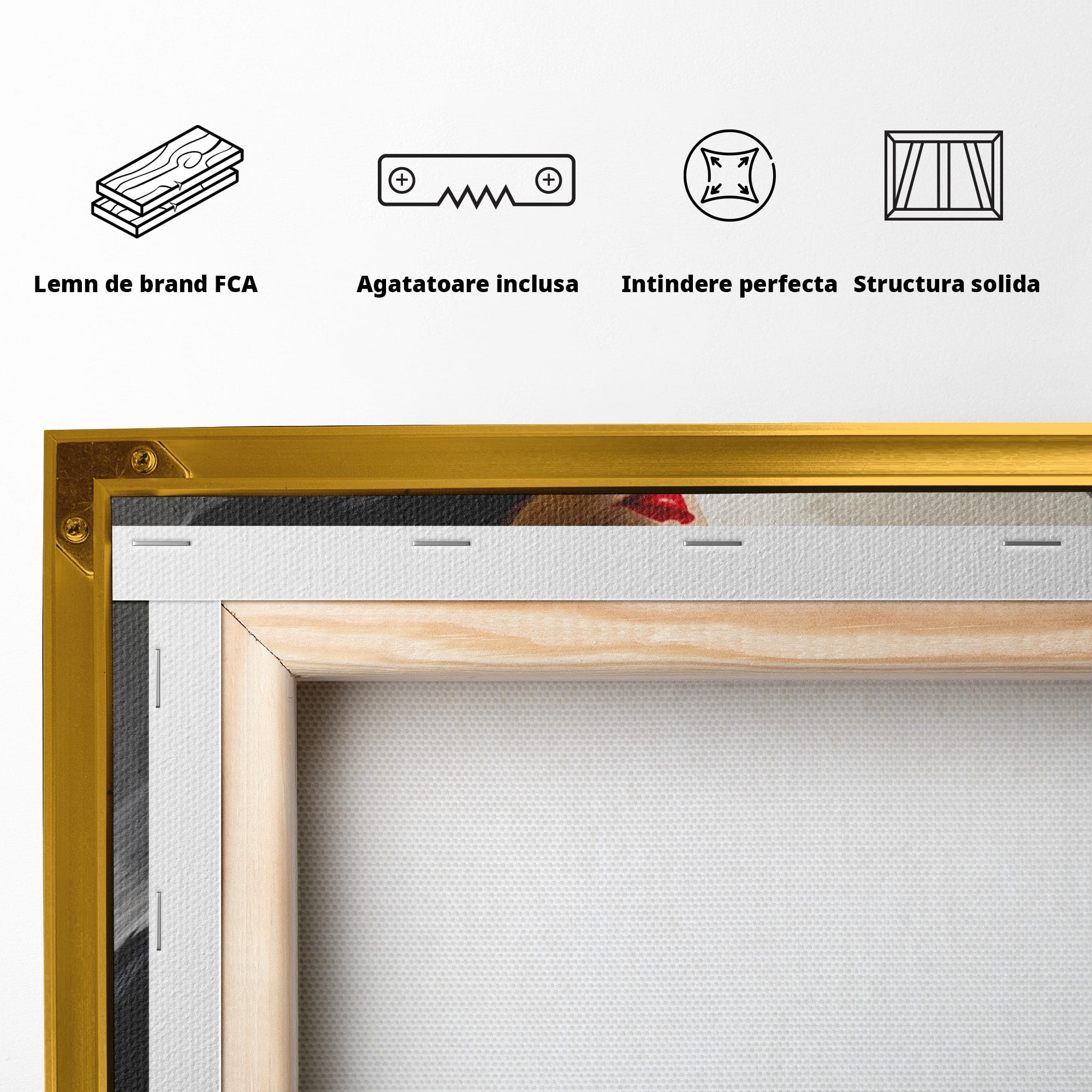 Tablou Canvas Premium LuxCanva® GV1052, Fascinatia Necunoscutului, Portret, Eleganta, Moda, Mister, Dormitor, Birou, Culori Vibrante