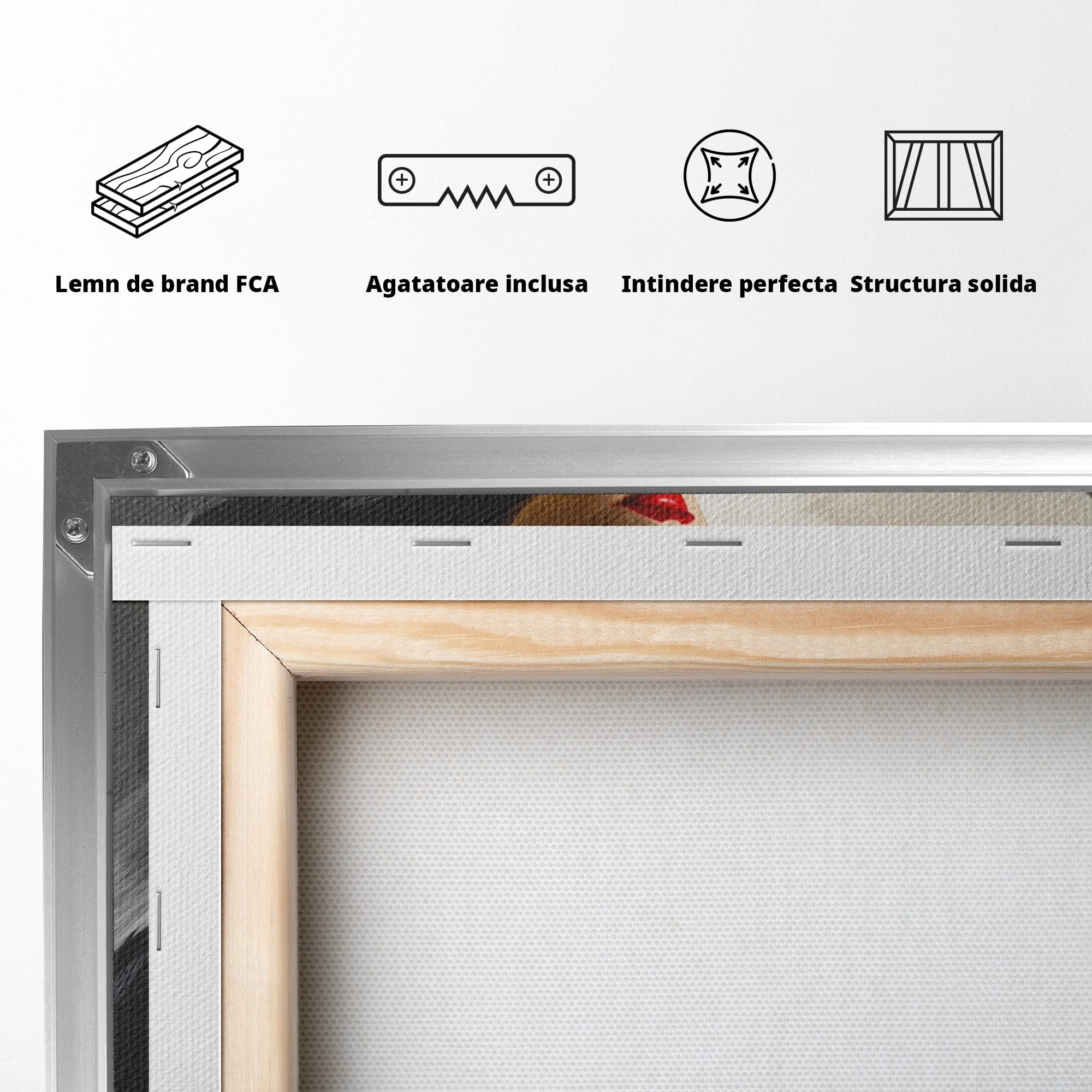 Tablou Canvas Premium LuxCanva® GV1052, Fascinatia Necunoscutului, Portret, Eleganta, Moda, Mister, Dormitor, Birou, Culori Vibrante