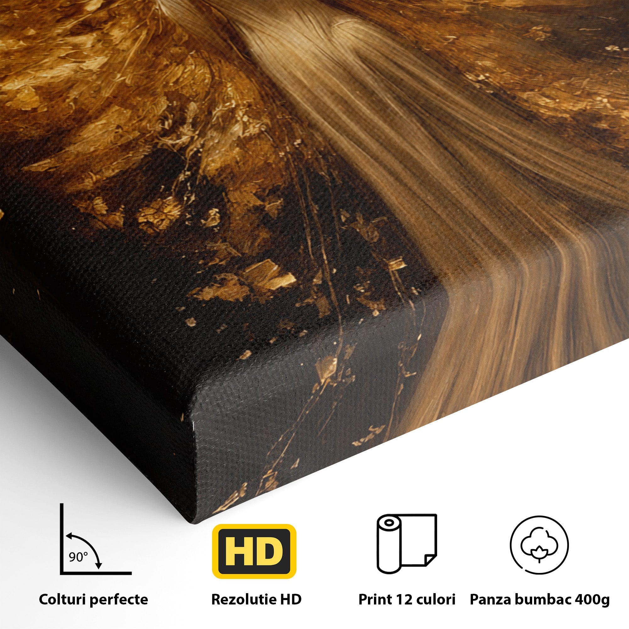 Tablou Canvas Premium LuxCanva® GV1054, Ingerul Renasterii, Inger, Aripi, Elegant, Spiritualitate, Living, Culori Vibrante