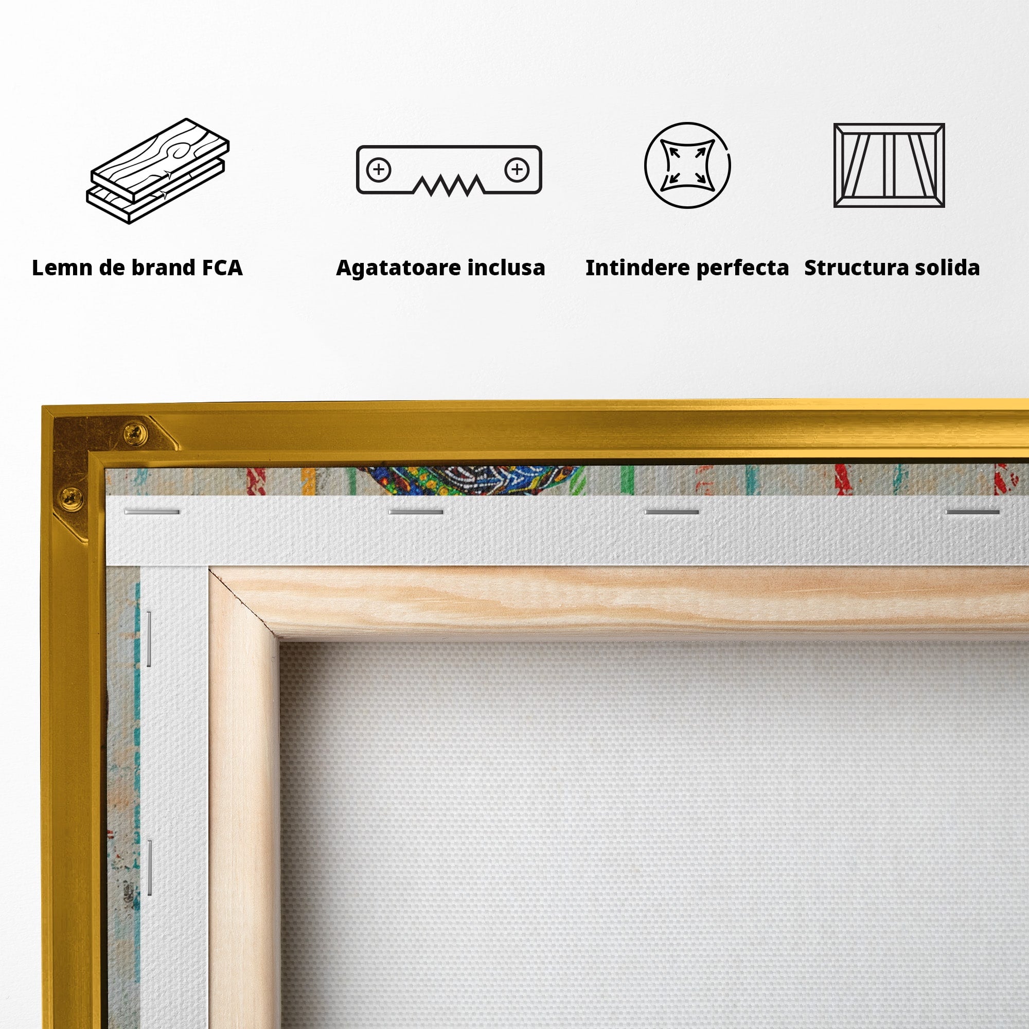 Tablou Canvas Premium LuxCanva® GV1055, Eleganta si Cultura, Portret, Femeie, Turban, Cultura, Arta, Living, Culori Vibrante