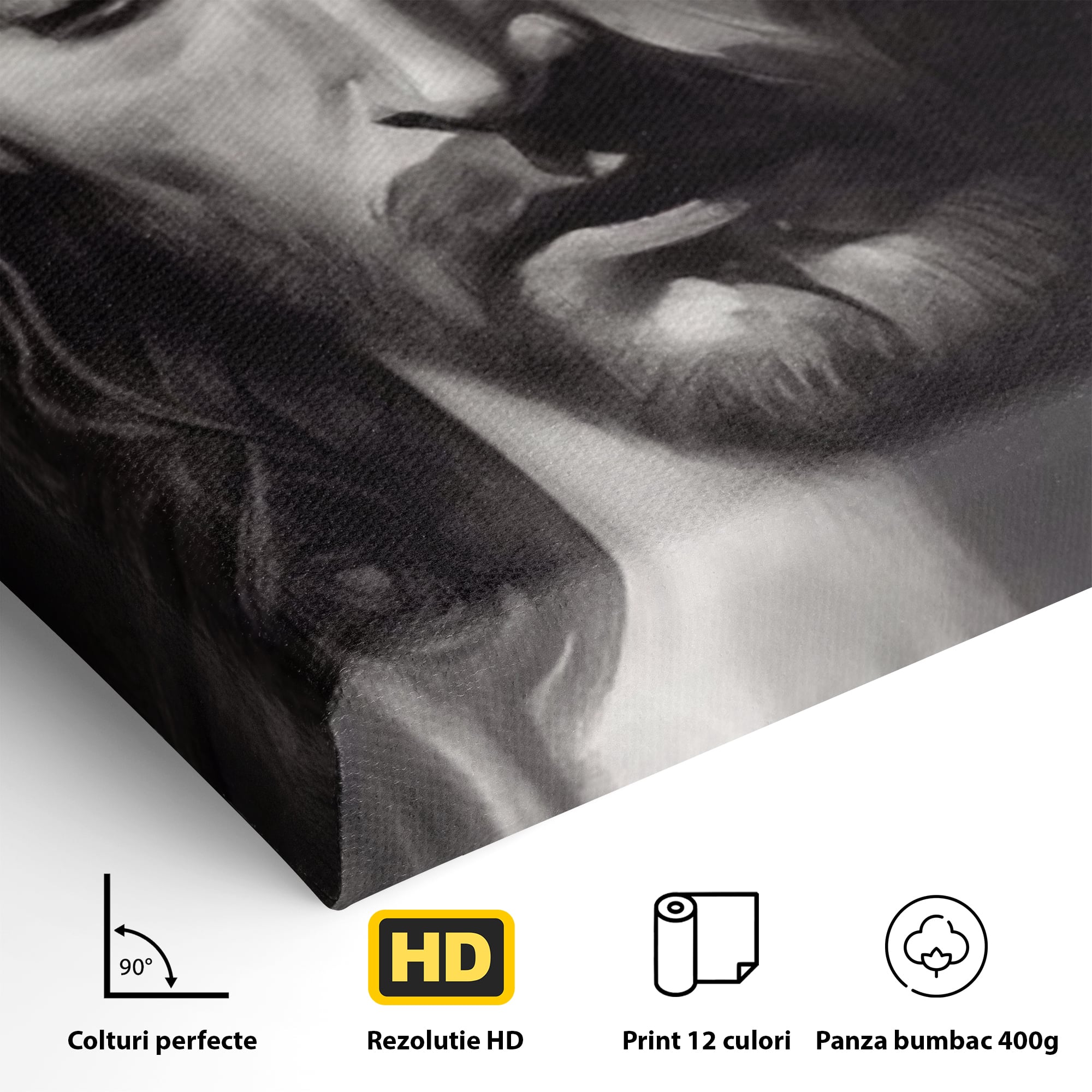 Tablou Canvas Premium LuxCanva® H1001, Durere si Speranta , Sacrificiu, Spini, Coroana, Mantuire, Iisus, Durere, Sange, Jertfa, Living, Dormitor