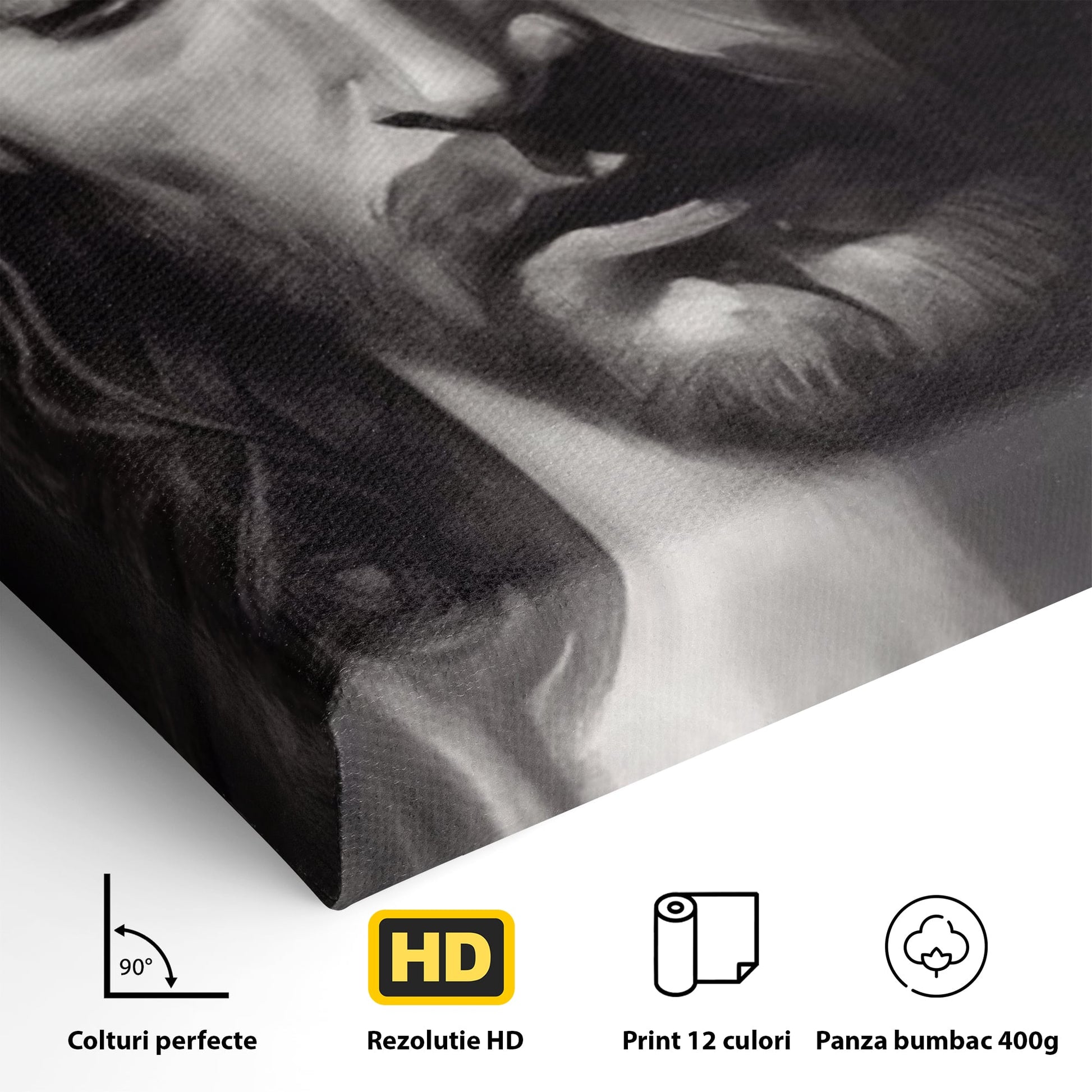 Tablou Canvas Premium LuxCanva® H1001, Durere si Speranta , Sacrificiu, Spini, Coroana, Mantuire, Iisus, Durere, Sange, Jertfa, Living, Dormitor
