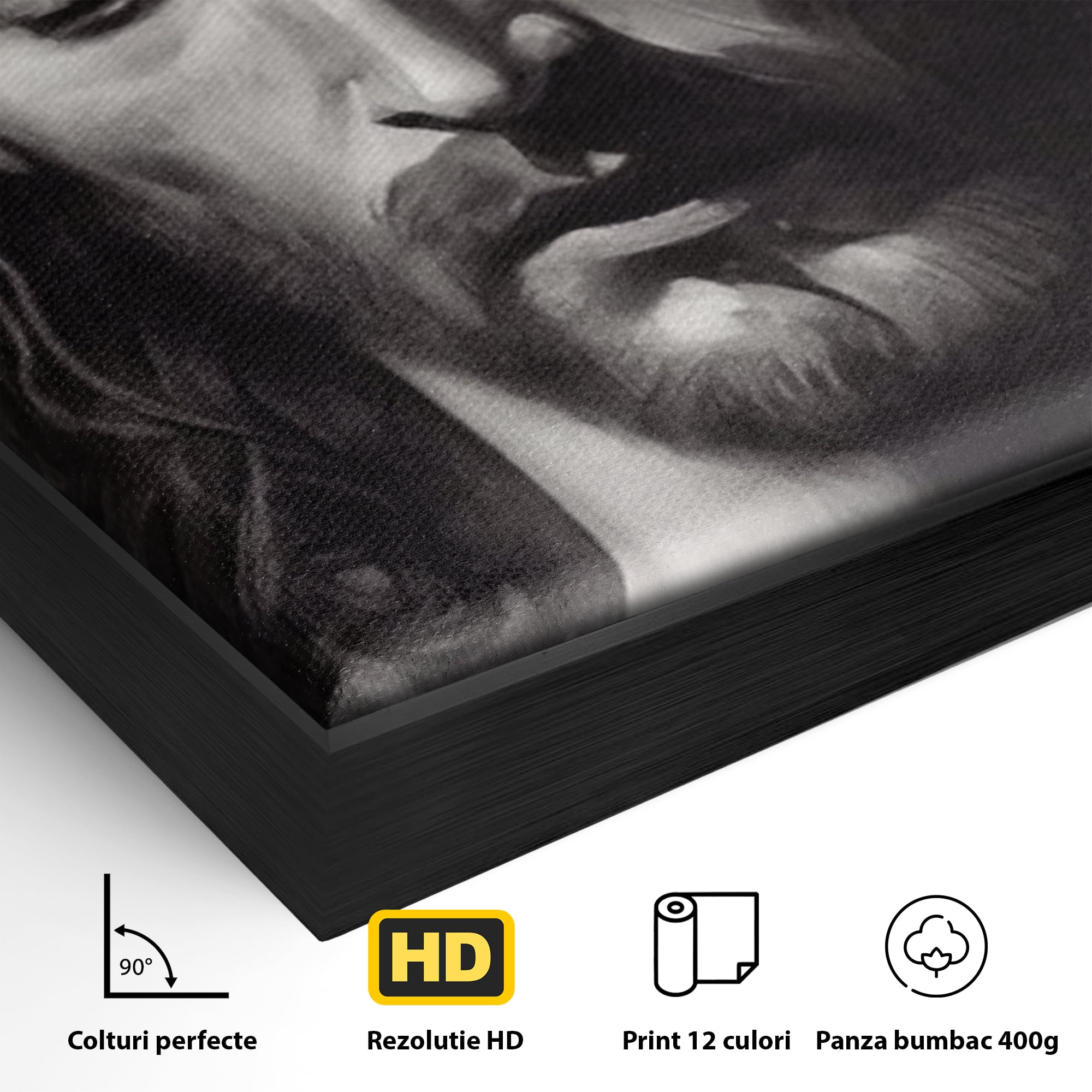 Tablou Canvas Premium LuxCanva® H1001, Durere si Speranta , Sacrificiu, Spini, Coroana, Mantuire, Iisus, Durere, Sange, Jertfa, Living, Dormitor