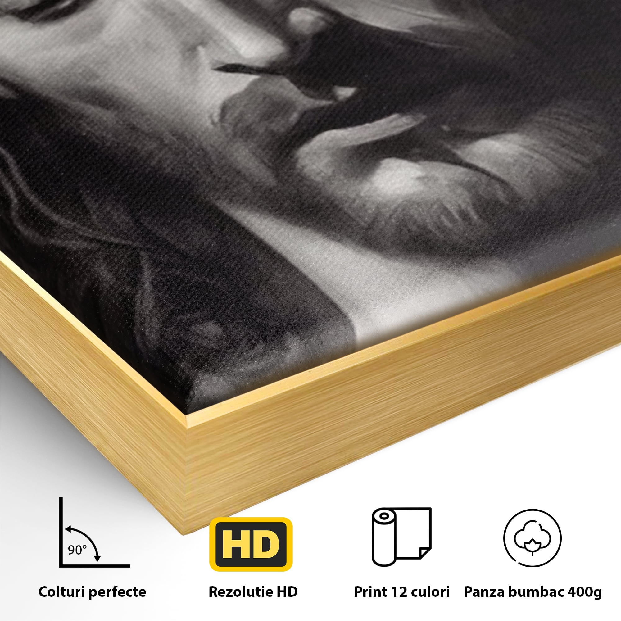 Tablou Canvas Premium LuxCanva® H1001, Durere si Speranta , Sacrificiu, Spini, Coroana, Mantuire, Iisus, Durere, Sange, Jertfa, Living, Dormitor