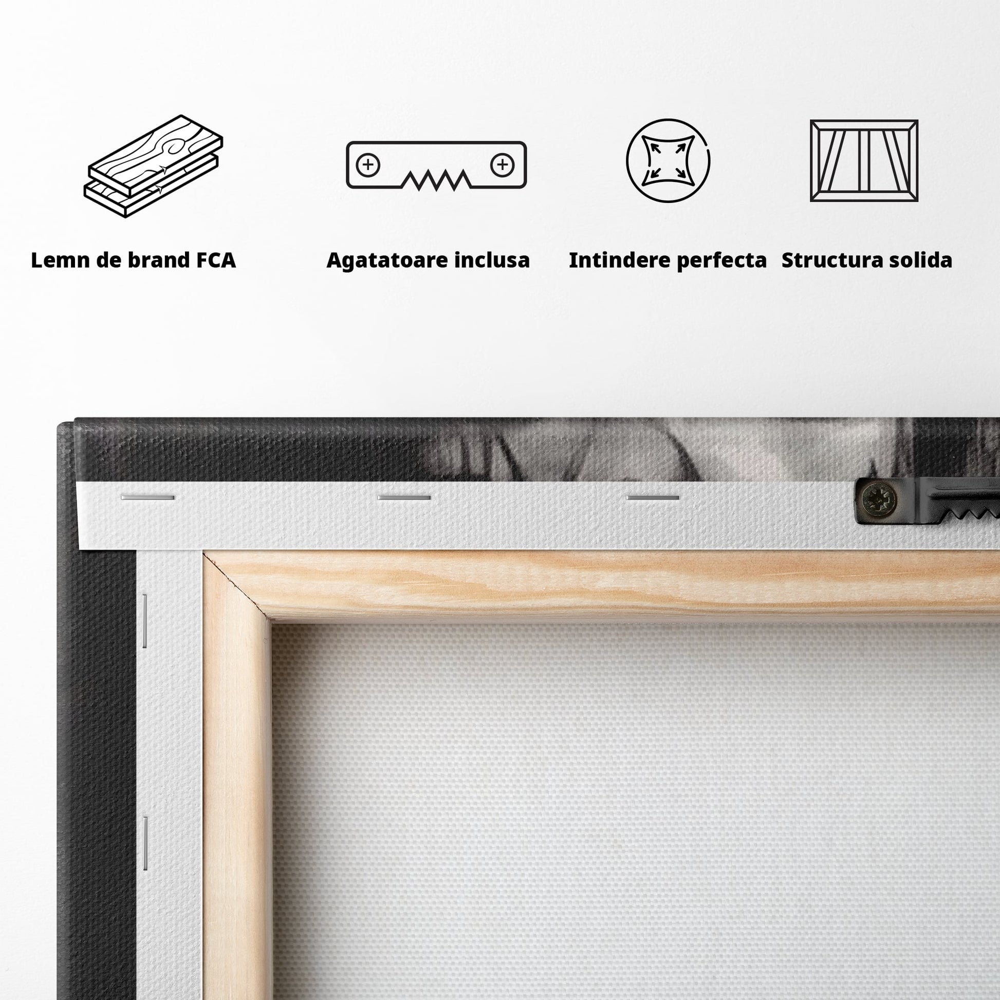 Tablou Canvas Premium LuxCanva® H1001, Durere si Speranta , Sacrificiu, Spini, Coroana, Mantuire, Iisus, Durere, Sange, Jertfa, Living, Dormitor