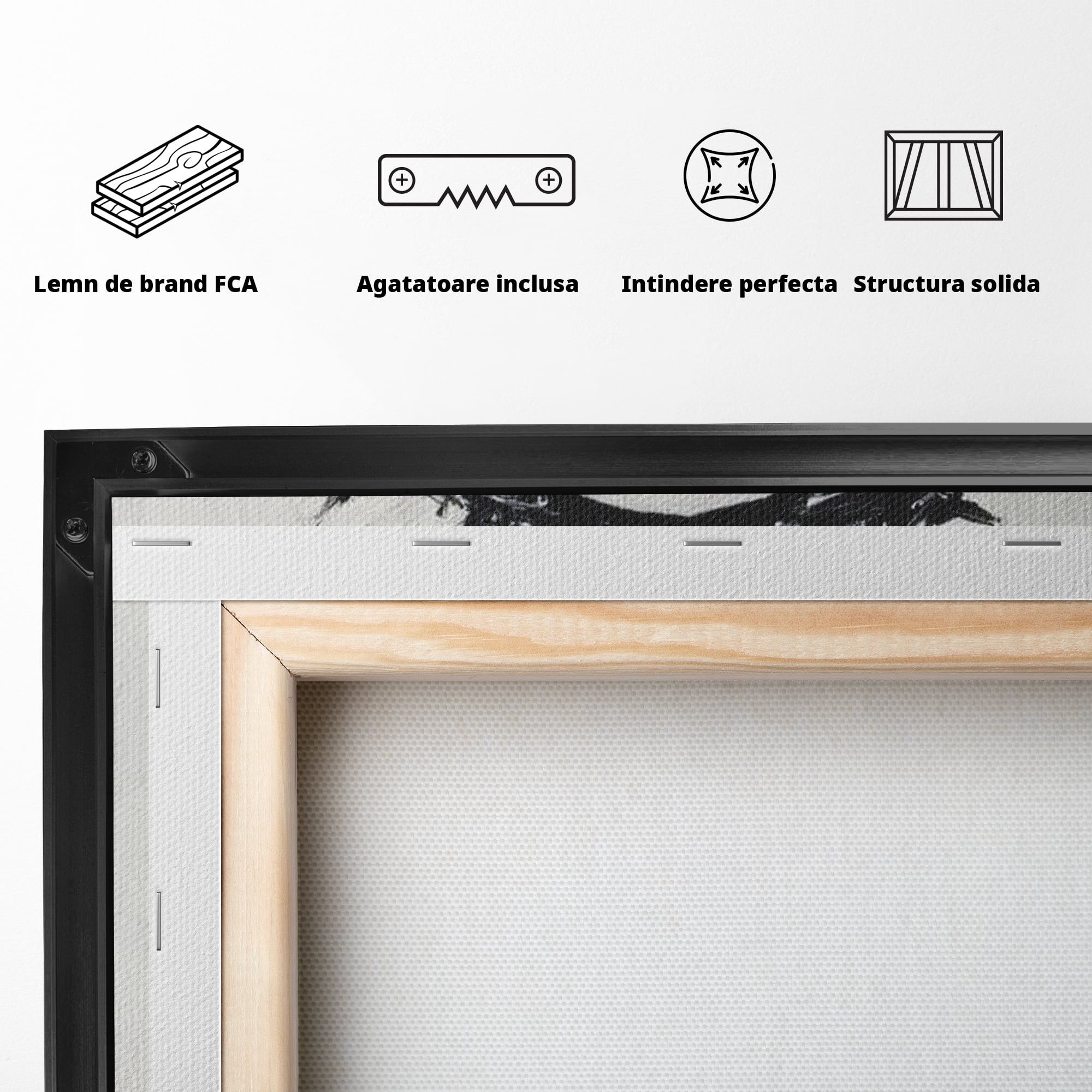 Tablou Canvas Premium LuxCanva® H1003, Durere si Mantuire , Divin, Durere, Coroana, Speranta, Iubire, Spritualitate, Spini, Living, Dormitor