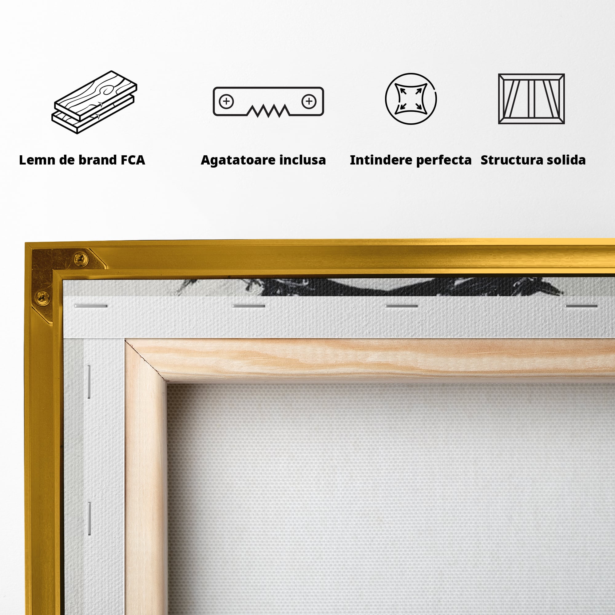 Tablou Canvas Premium LuxCanva® H1003, Durere si Mantuire , Divin, Durere, Coroana, Speranta, Iubire, Spritualitate, Spini, Living, Dormitor