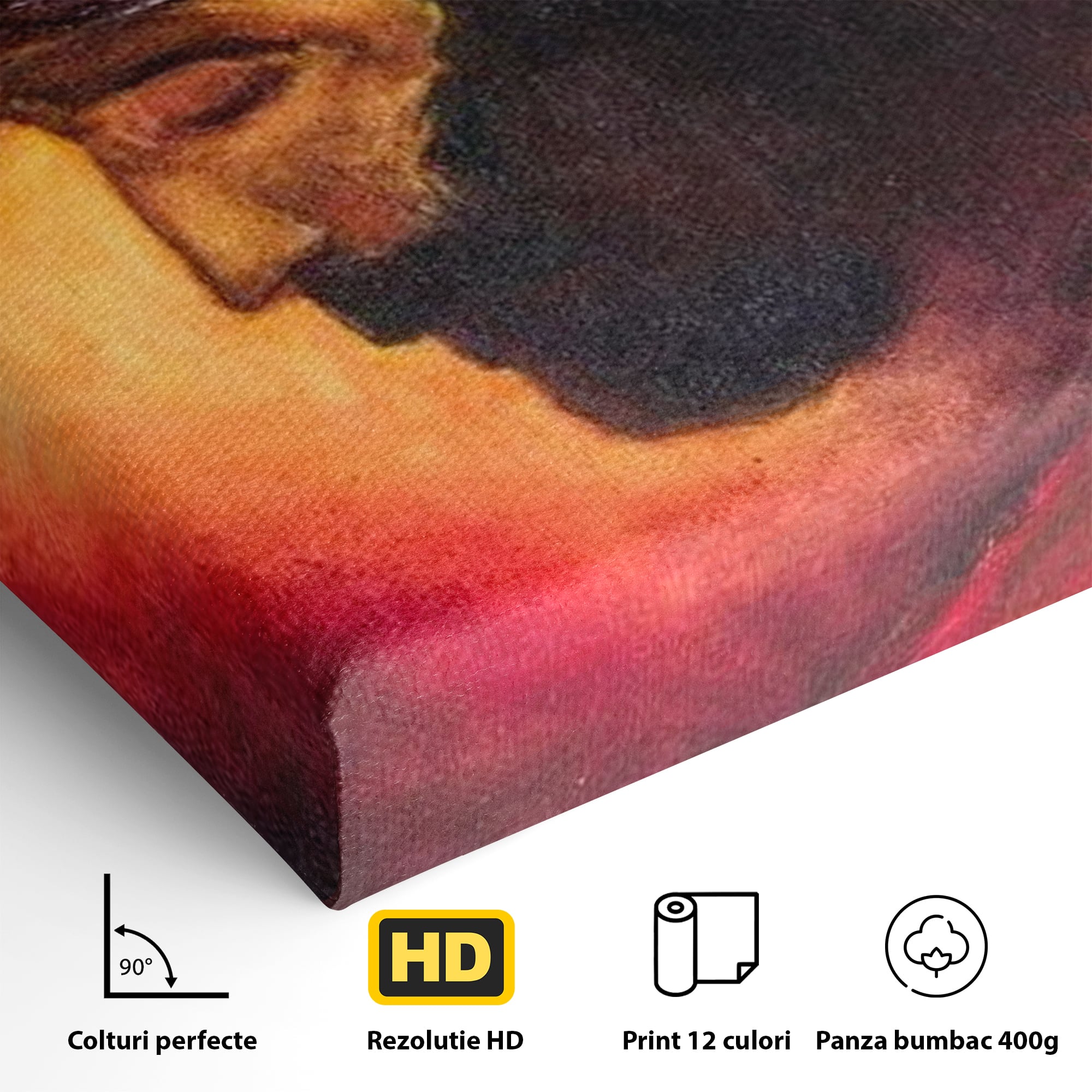 Tablou Canvas Premium LuxCanva® H1008, Purtatorul Pacatelor Lumii , Sacrificiu, Pacate, Lume, Suferinta, Iubire, Mantuire, Coroana, Lumina, Living
