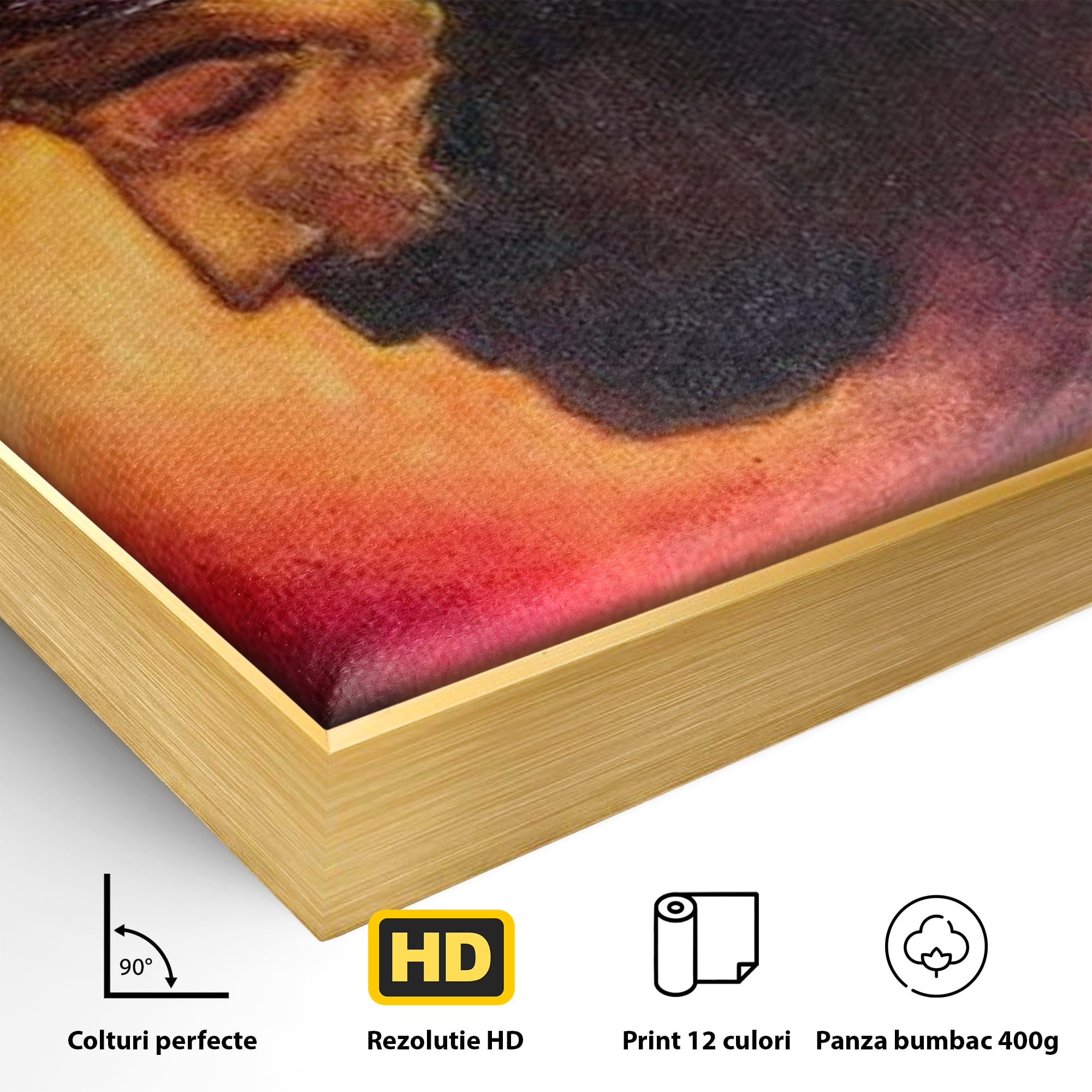 Tablou Canvas Premium LuxCanva® H1008, Purtatorul Pacatelor Lumii , Sacrificiu, Pacate, Lume, Suferinta, Iubire, Mantuire, Coroana, Lumina, Living