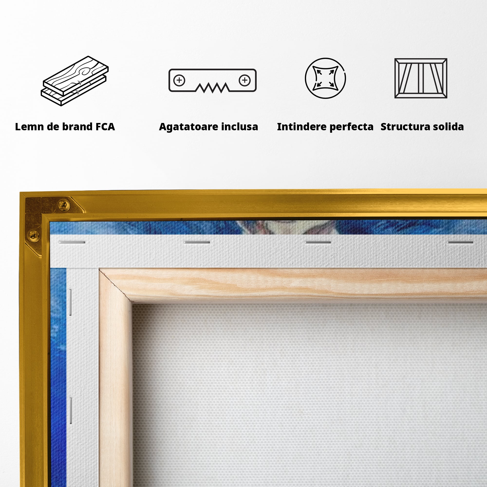 Tablou Canvas Premium LuxCanva® H1015, Gratia Divina , Inger, Gratie, Divin, Zbor, Cer, Pace, Protectie, Mesaj, Frumusete, Living, Dormitor