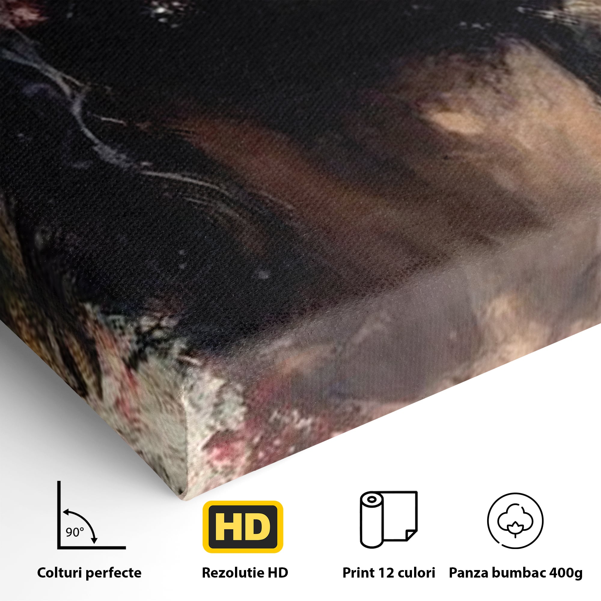 Tablou Canvas Premium LuxCanva® H1032, Patimile Mantuitorului, Iisus, Credinta, Mantuire, Sacrificiu, Coroana de Spini, Forta Interioara, Arta Religioasa, Living, Dormitor