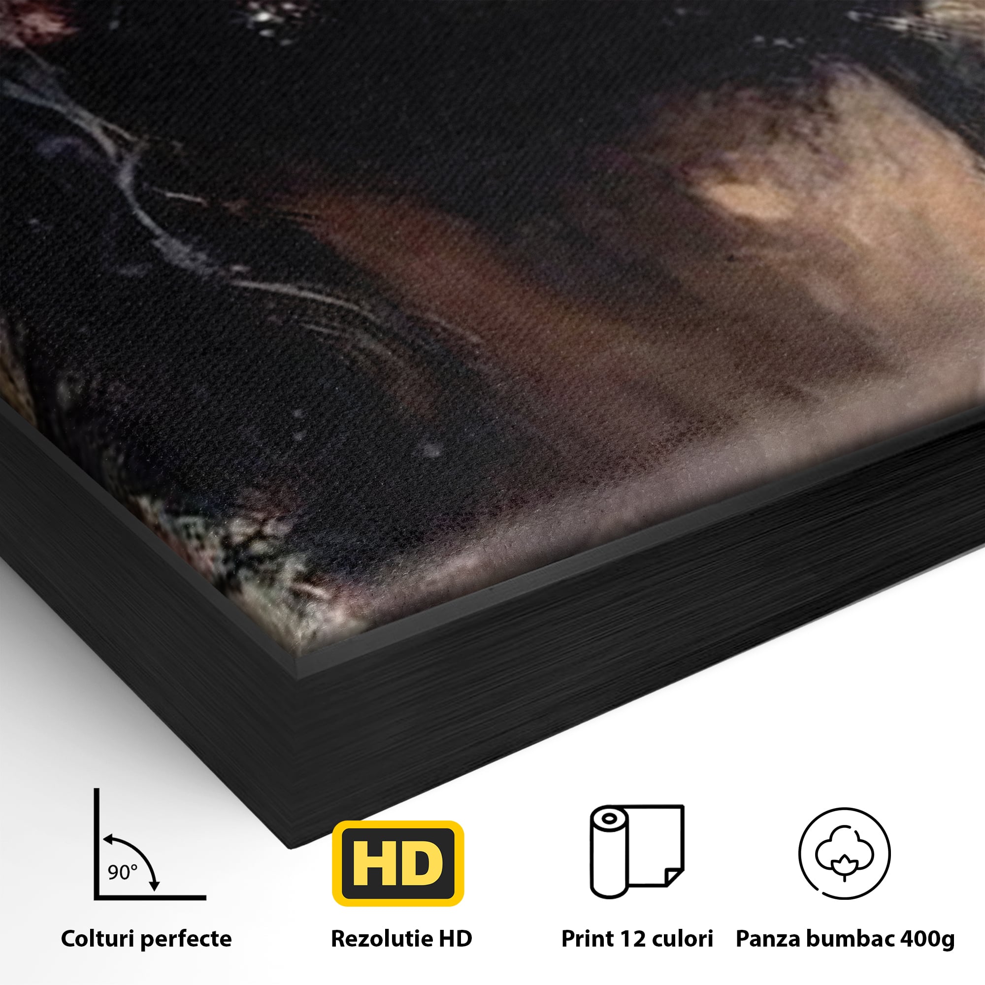 Tablou Canvas Premium LuxCanva® H1032, Patimile Mantuitorului, Iisus, Credinta, Mantuire, Sacrificiu, Coroana de Spini, Forta Interioara, Arta Religioasa, Living, Dormitor