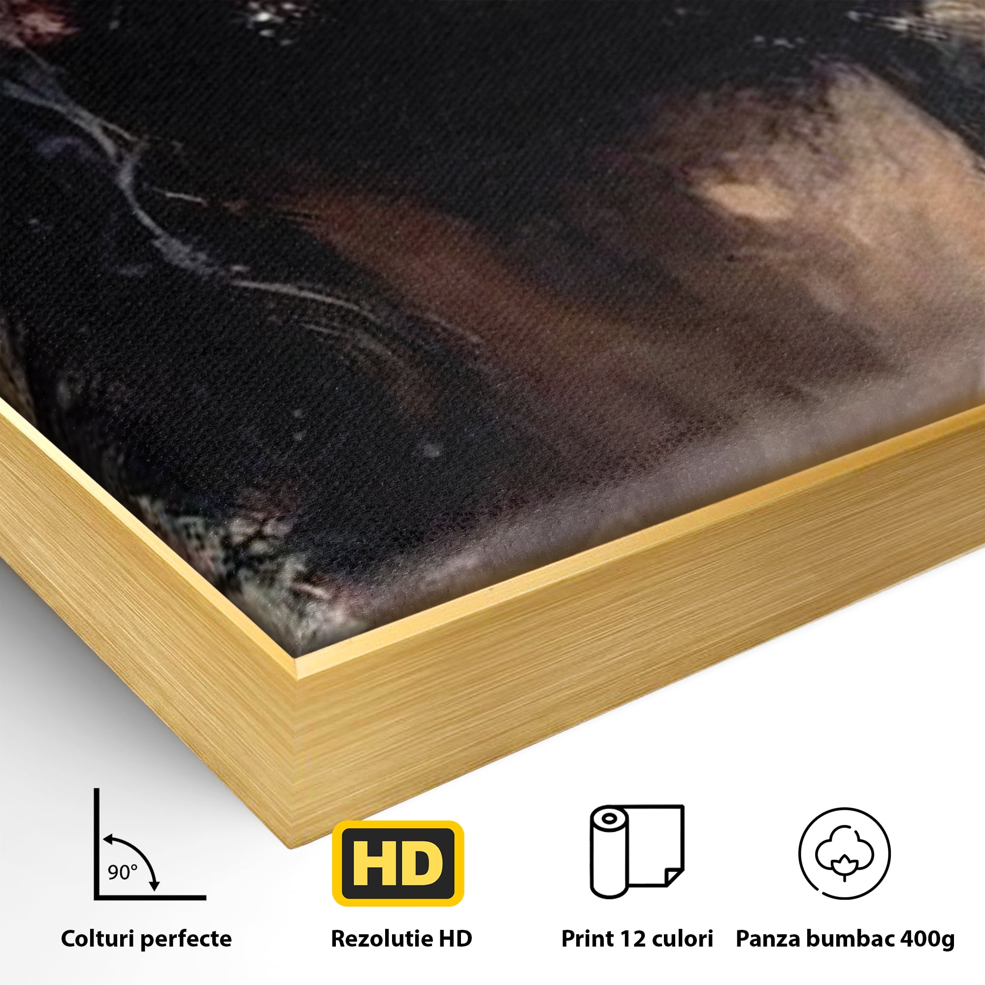 Tablou Canvas Premium LuxCanva® H1032, Patimile Mantuitorului, Iisus, Credinta, Mantuire, Sacrificiu, Coroana de Spini, Forta Interioara, Arta Religioasa, Living, Dormitor