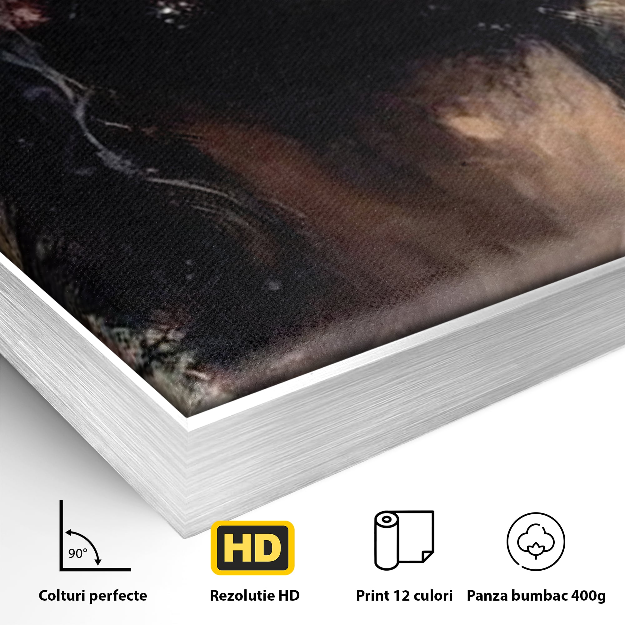 Tablou Canvas Premium LuxCanva® H1032, Patimile Mantuitorului, Iisus, Credinta, Mantuire, Sacrificiu, Coroana de Spini, Forta Interioara, Arta Religioasa, Living, Dormitor