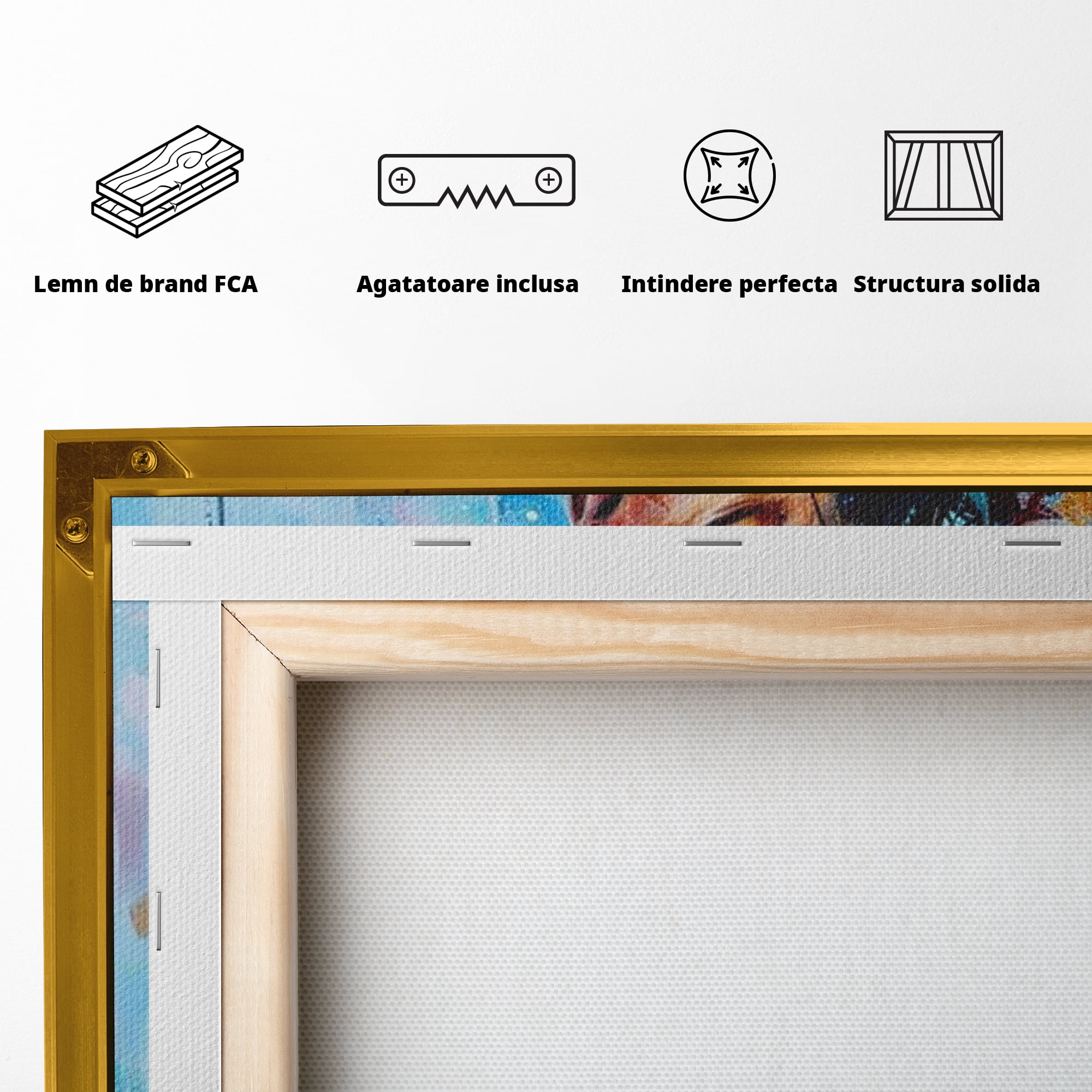 Tablou Canvas Premium LuxCanva® H1043, Coroana Sperantei, Iisus, Credinta, Speranta, Mantuire, Har, Emotie, Coroana de Spini, Arta Religioasa, Living, Dormitor