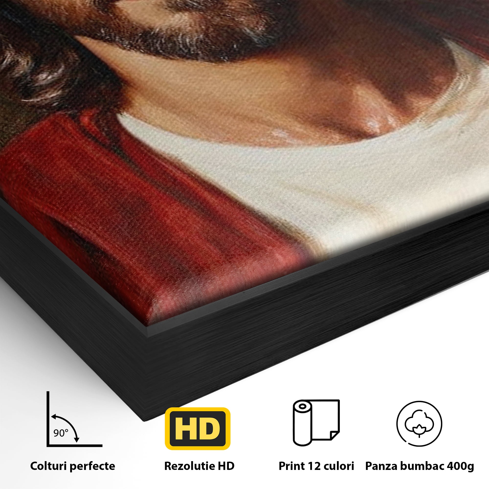 Tablou Canvas Premium LuxCanva® H1049, Portretul lui Iisus, Iisus, Chip, Credinta, Speranta, Mantuire, Sacrificiu, Spiritualitate, Har, Arta Religioasa, Living, Dormitor